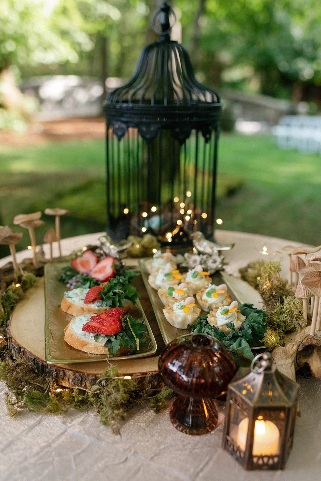 Hazel and Fern Photography