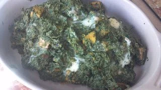 Palak Paneer with a twist