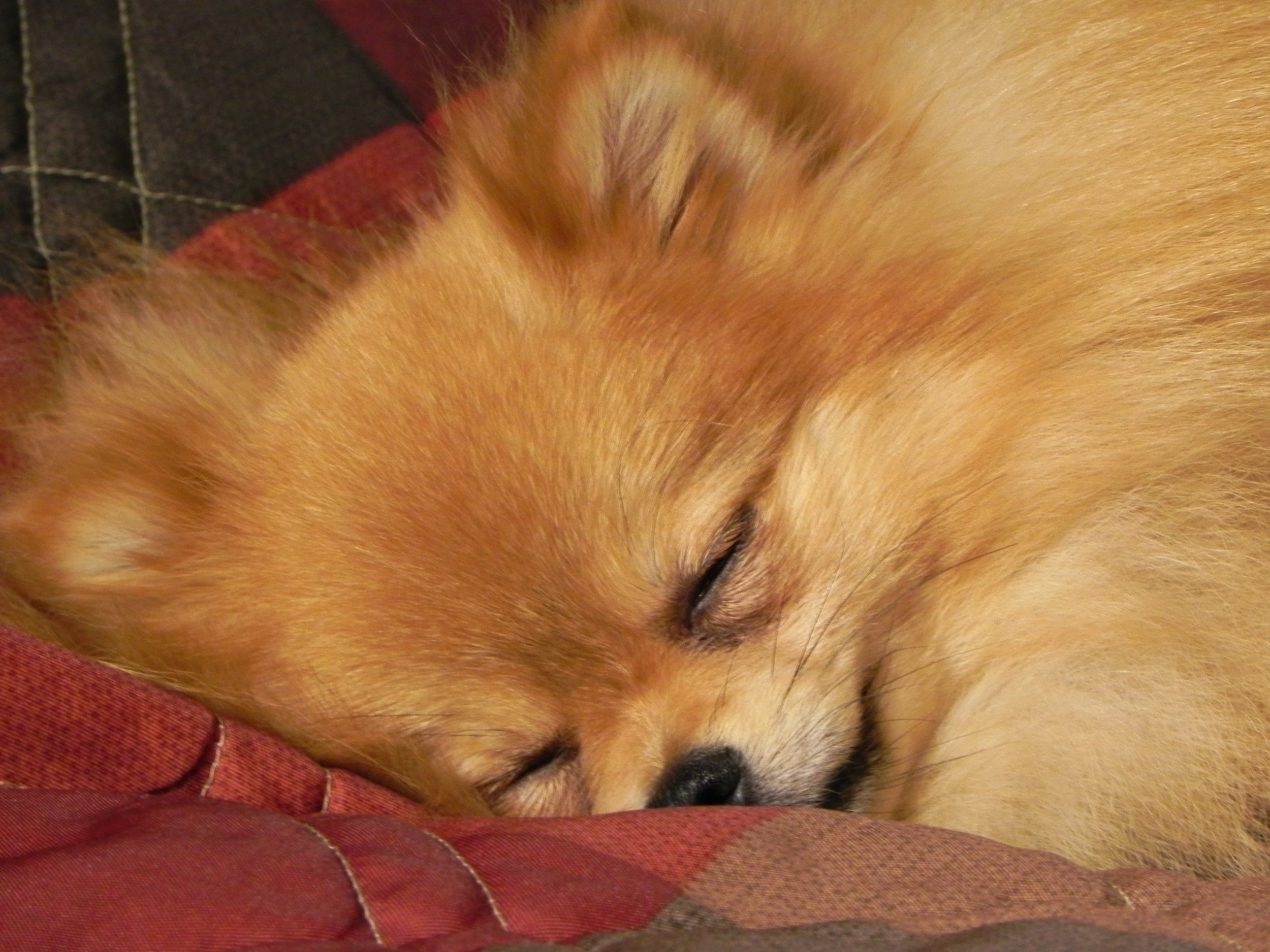 053010EugeneOR (1).JPG