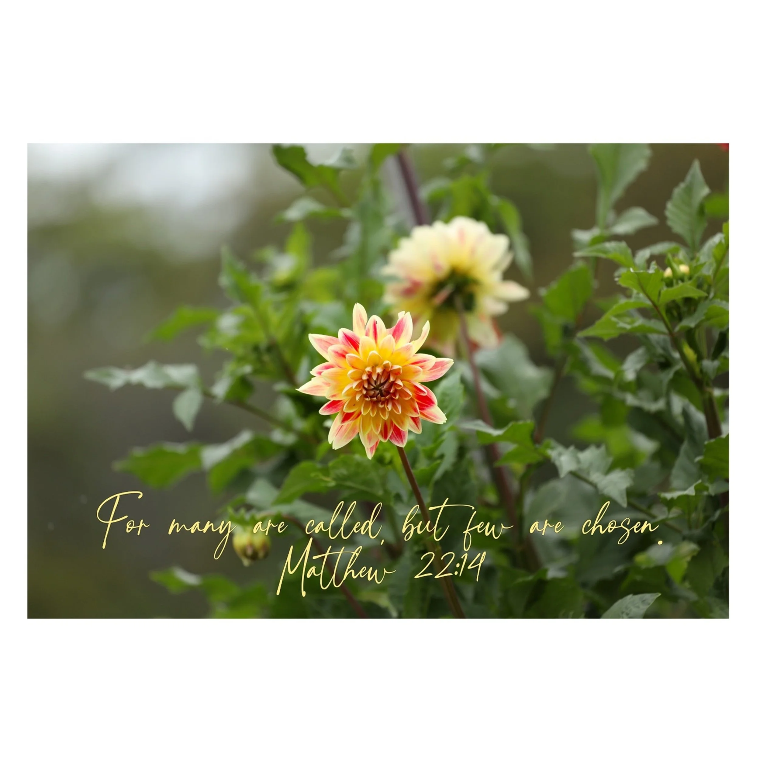 Christian Greeting Cards, Bible Verse Card Bundle #2, Scripture Cards, God Cards
