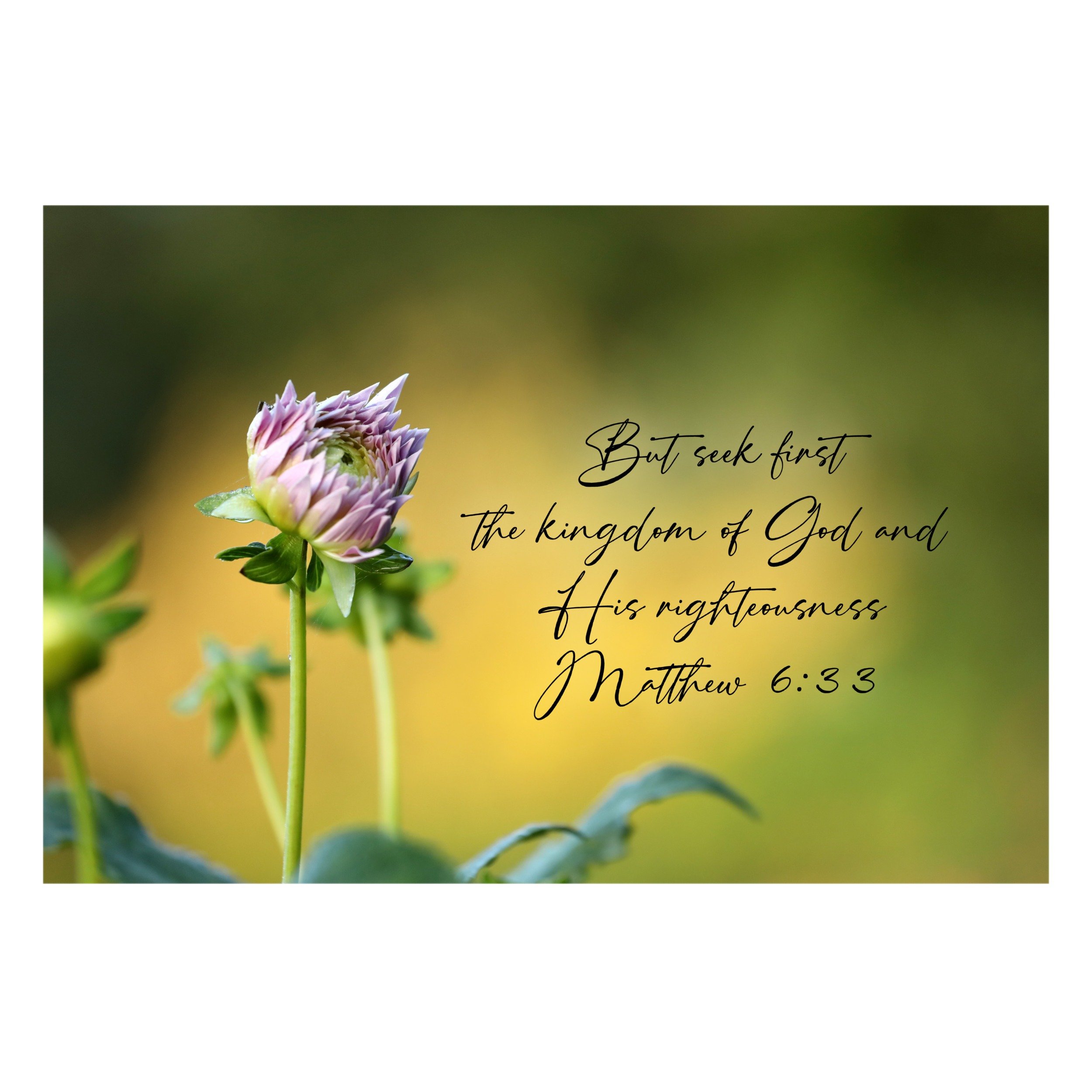 Matthew 6:33 But Seek First Matted Print
