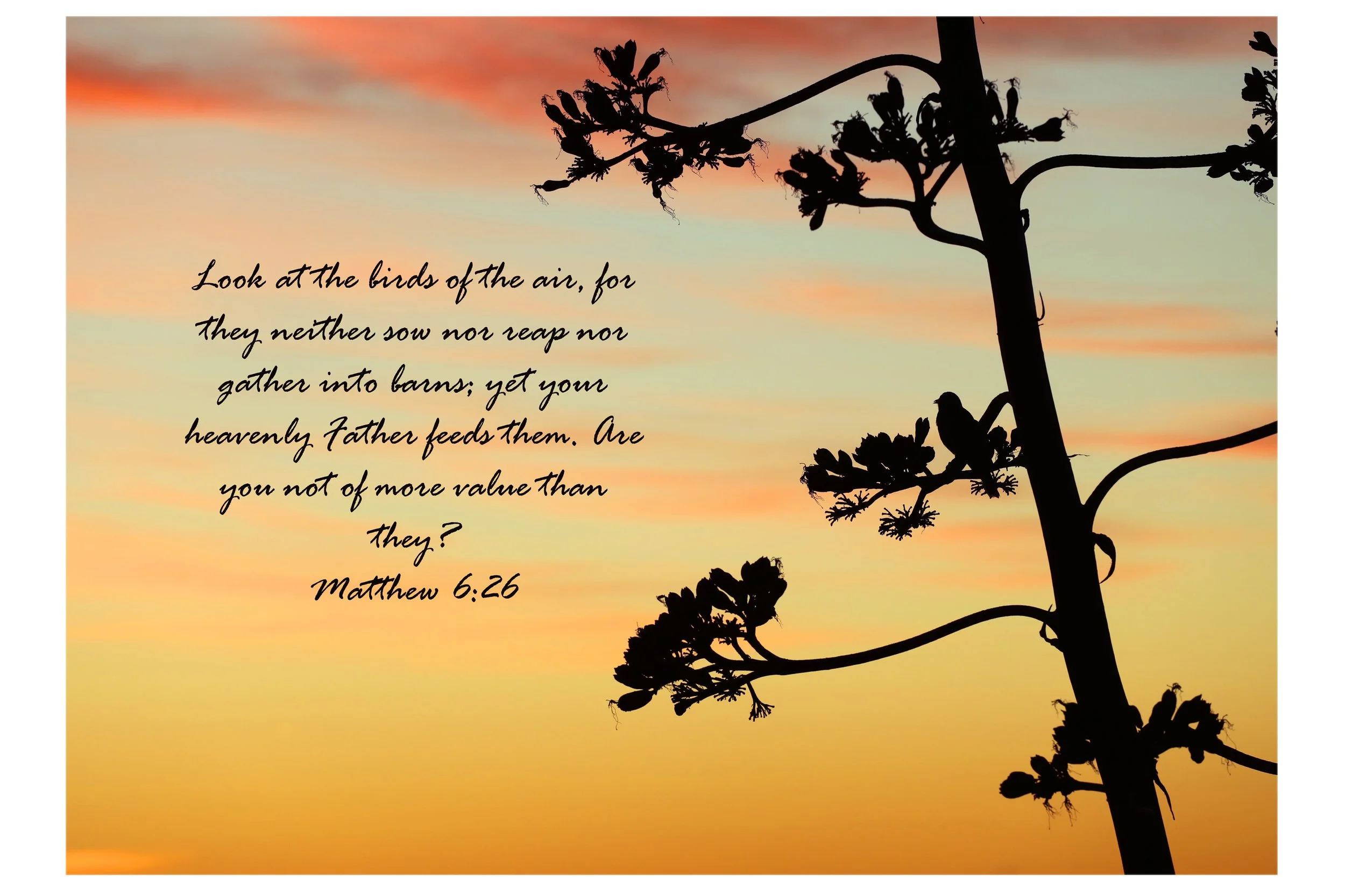 Matthew 6:26 Birds Of The Air Print