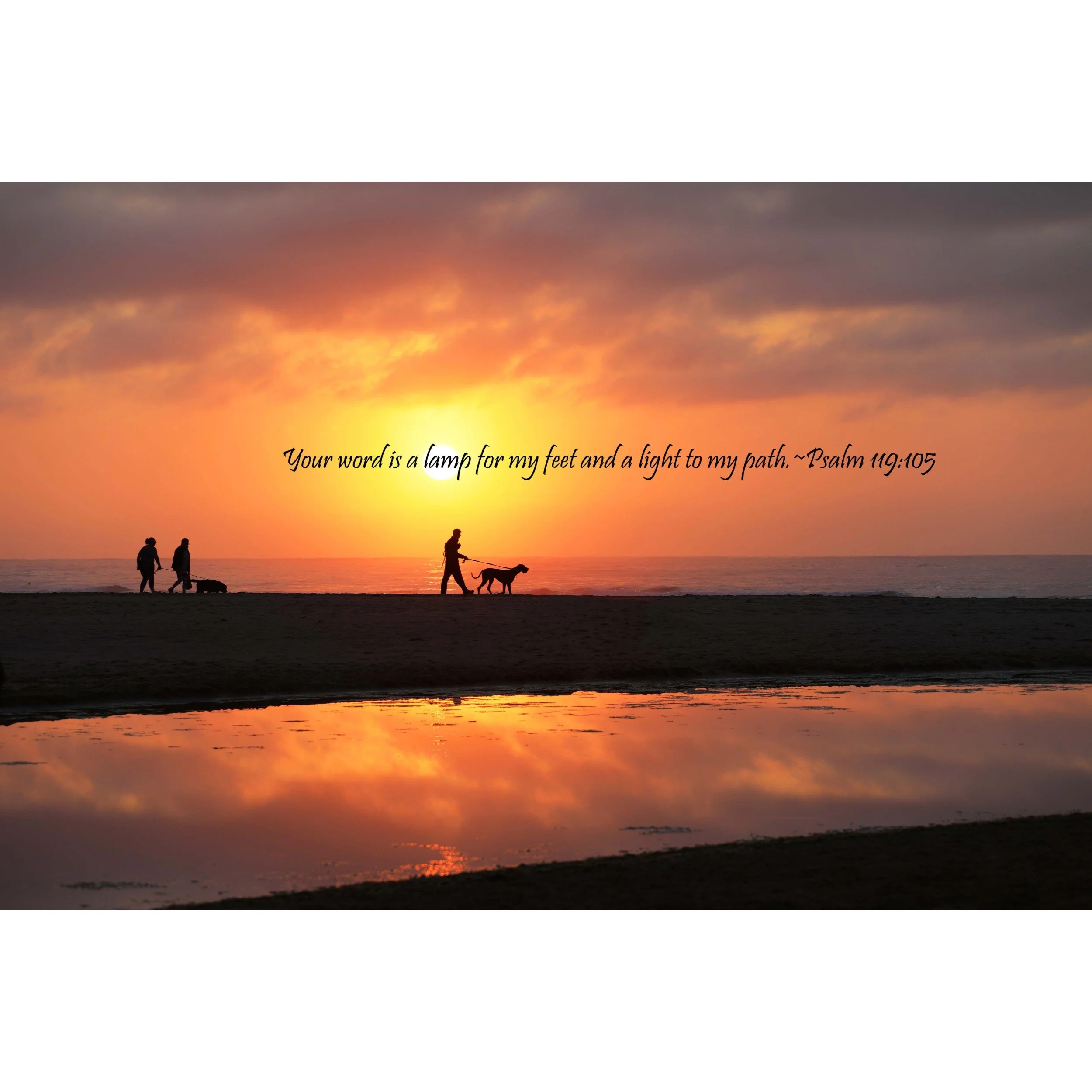 Psalm 119:105 Your Word Is A Lamp Print
