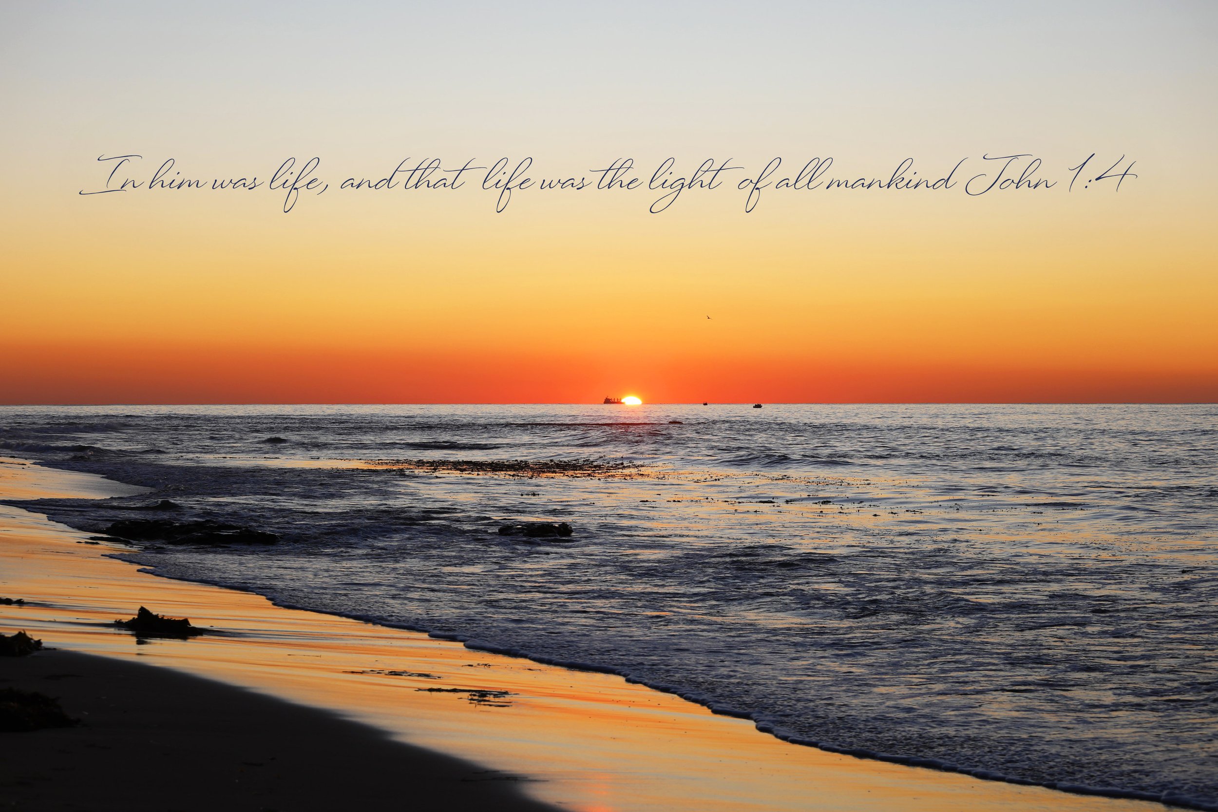 John 1:4 Light Of Mankind Print