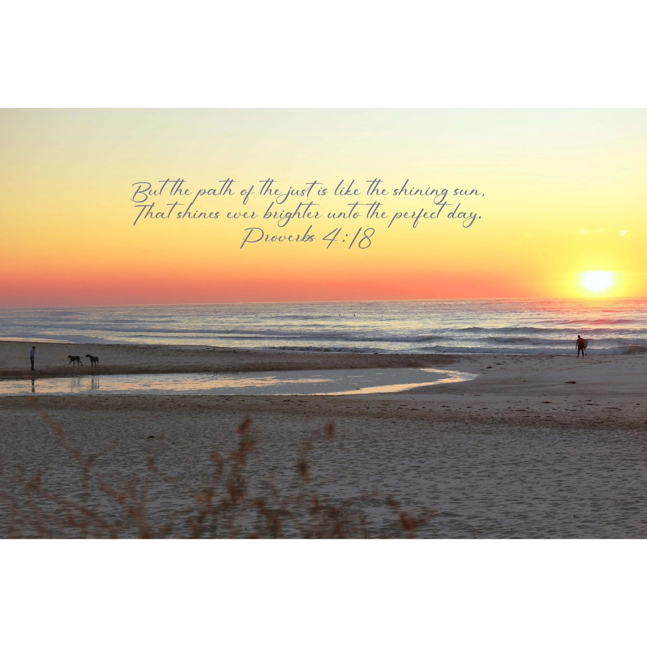Proverbs 4:18 The Shining Sun Matted Print