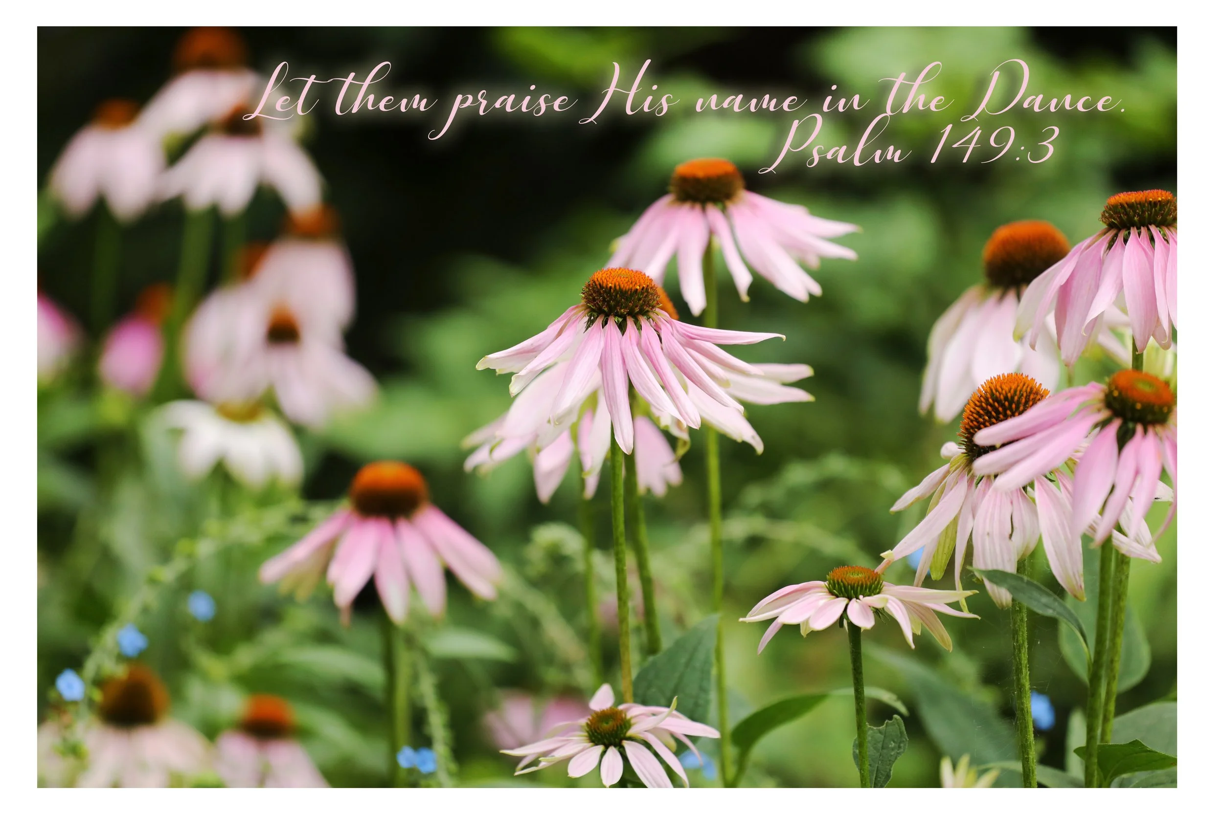 Psalm 149:3 Praise His Name In The Dance Matted Print