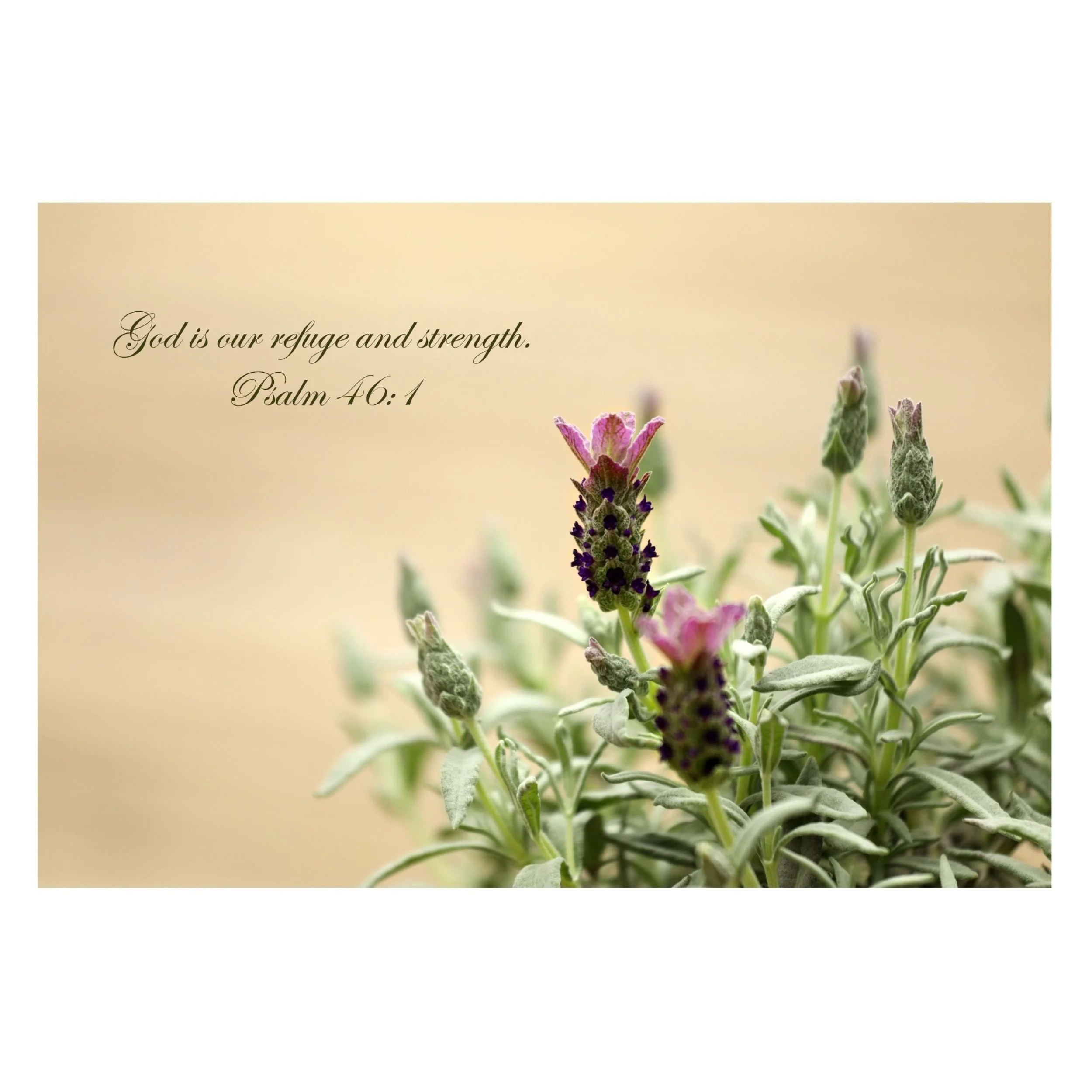211A1448(2)_Squarespace2500.jpg