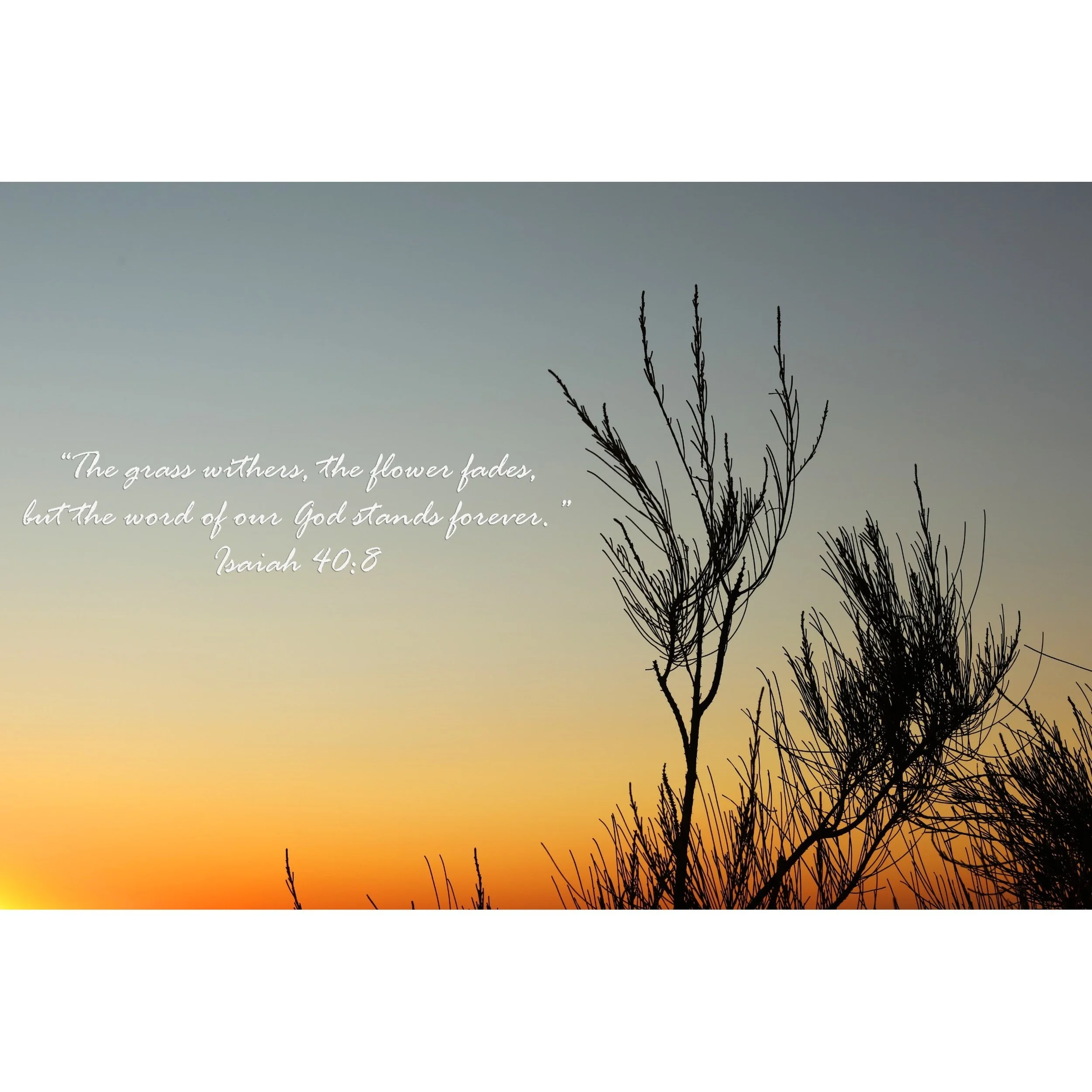 Christian Greeting Cards, Bible Verse Card Bundle #1, Scripture Cards, God Cards