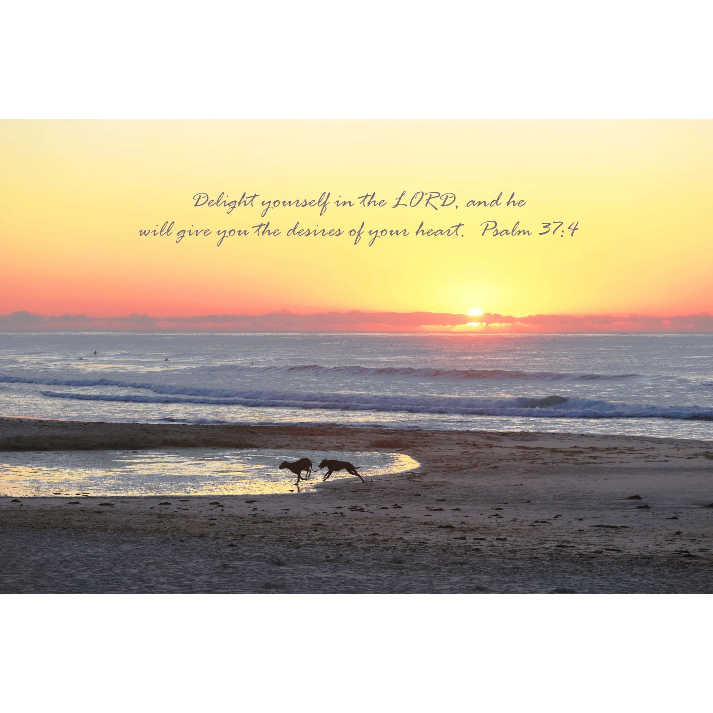 Psalm 37:4 Delight In The LORD Matted Print