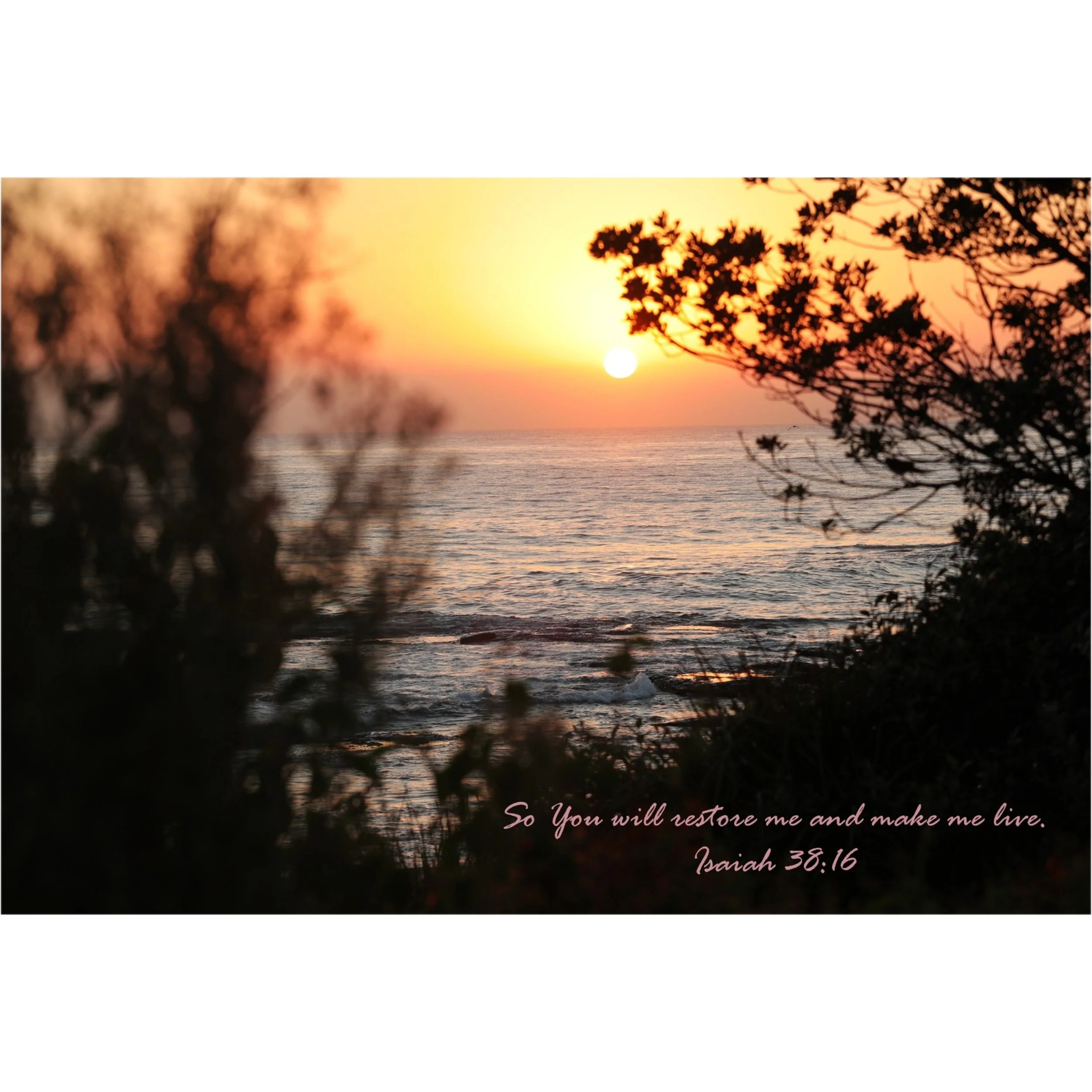 Isaiah 38:16 Restore Me Matted Print