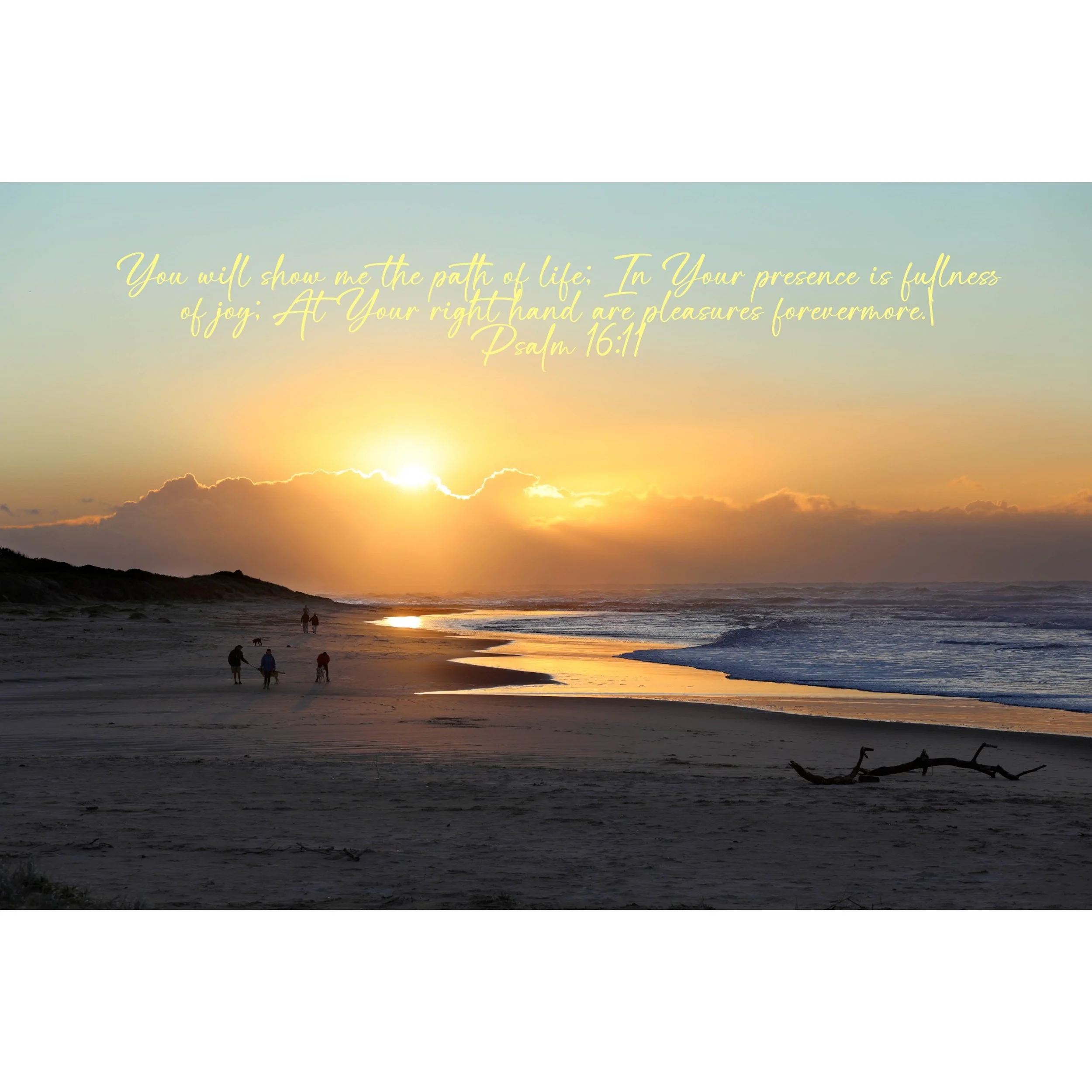 Psalm 16:11 Path Of Life Print
