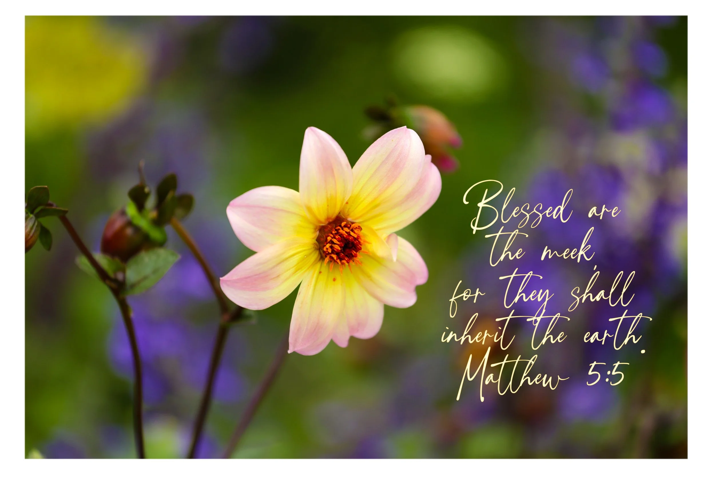 Matthew 5:5 Blessed Are The Meek Print