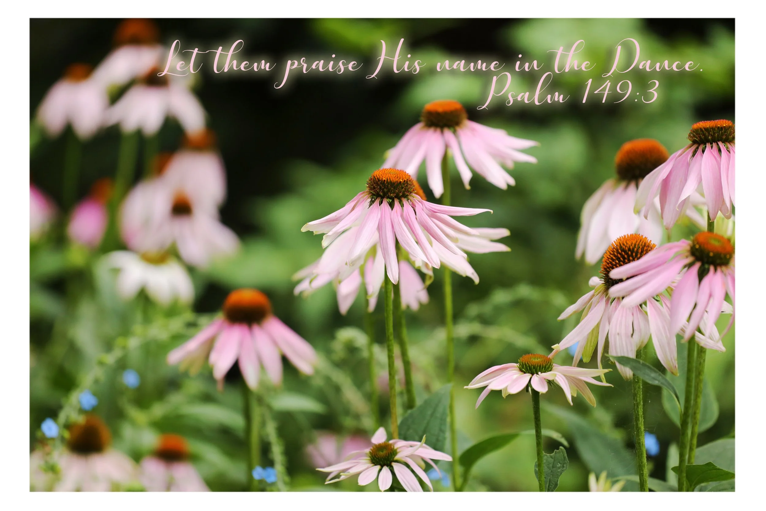 Psalm 149:3 Praise His Name In The Dance Framed Print