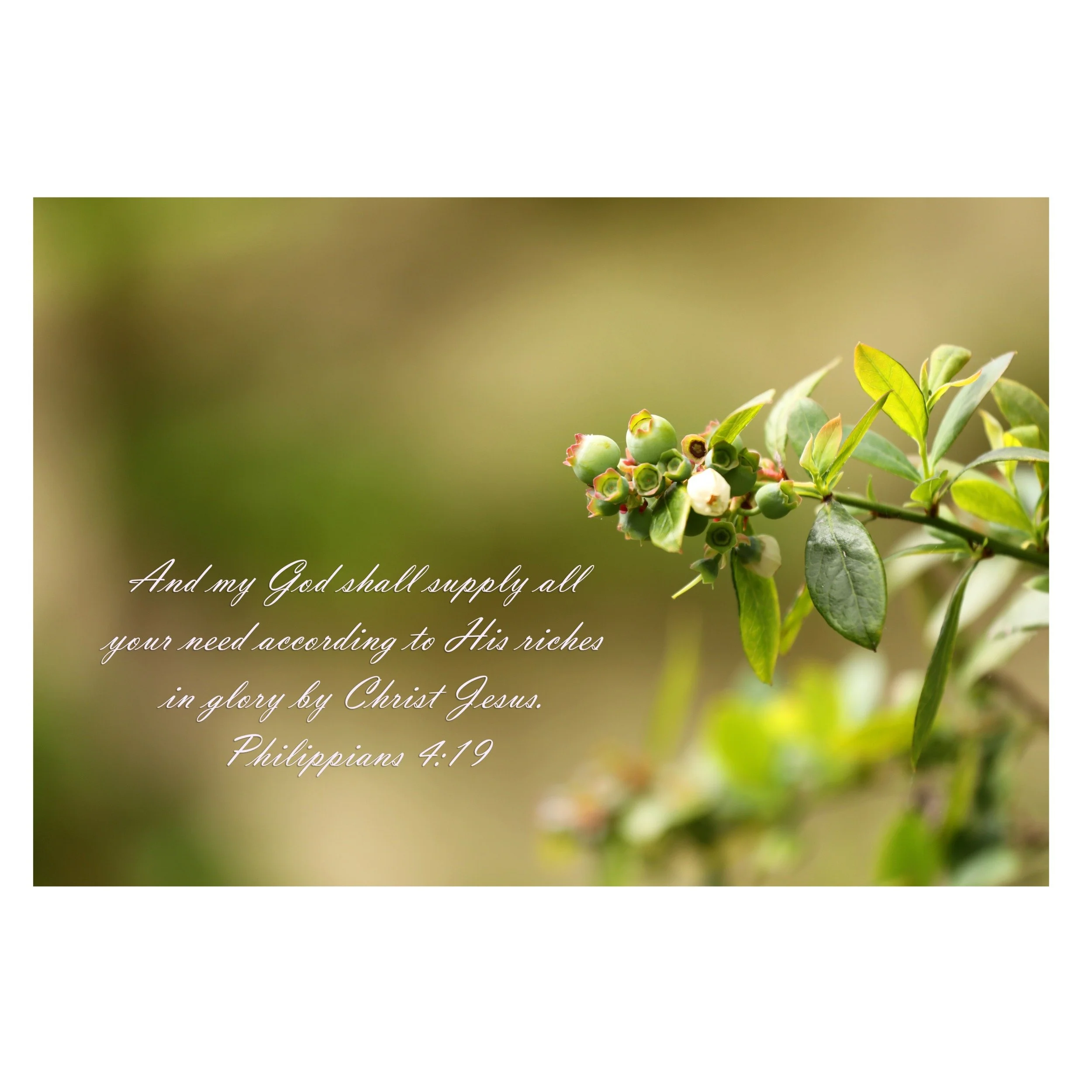 Philippians 4:19  God Shall Supply All Matted Print