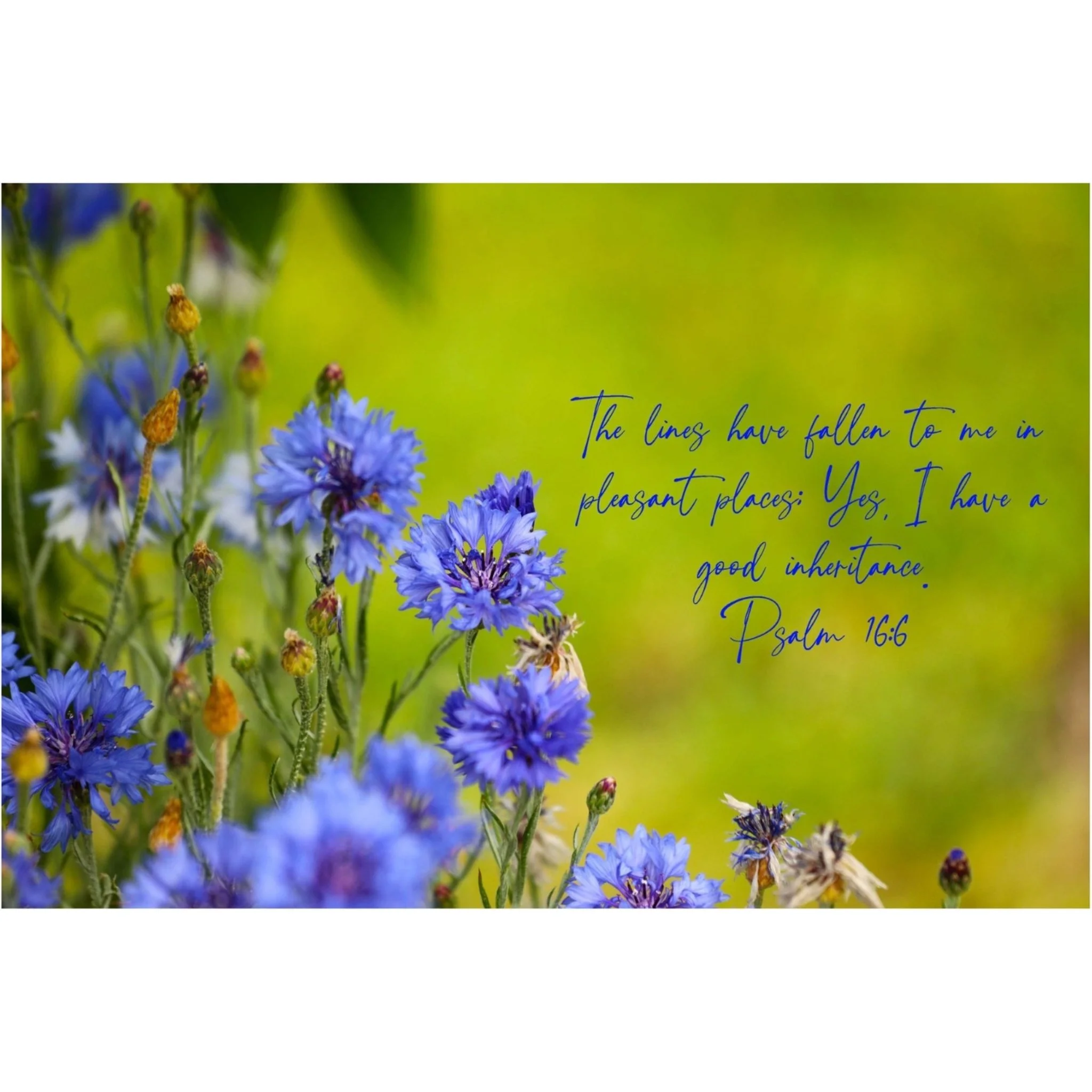Psalm 16:6 Good Inheritance Matted Print
