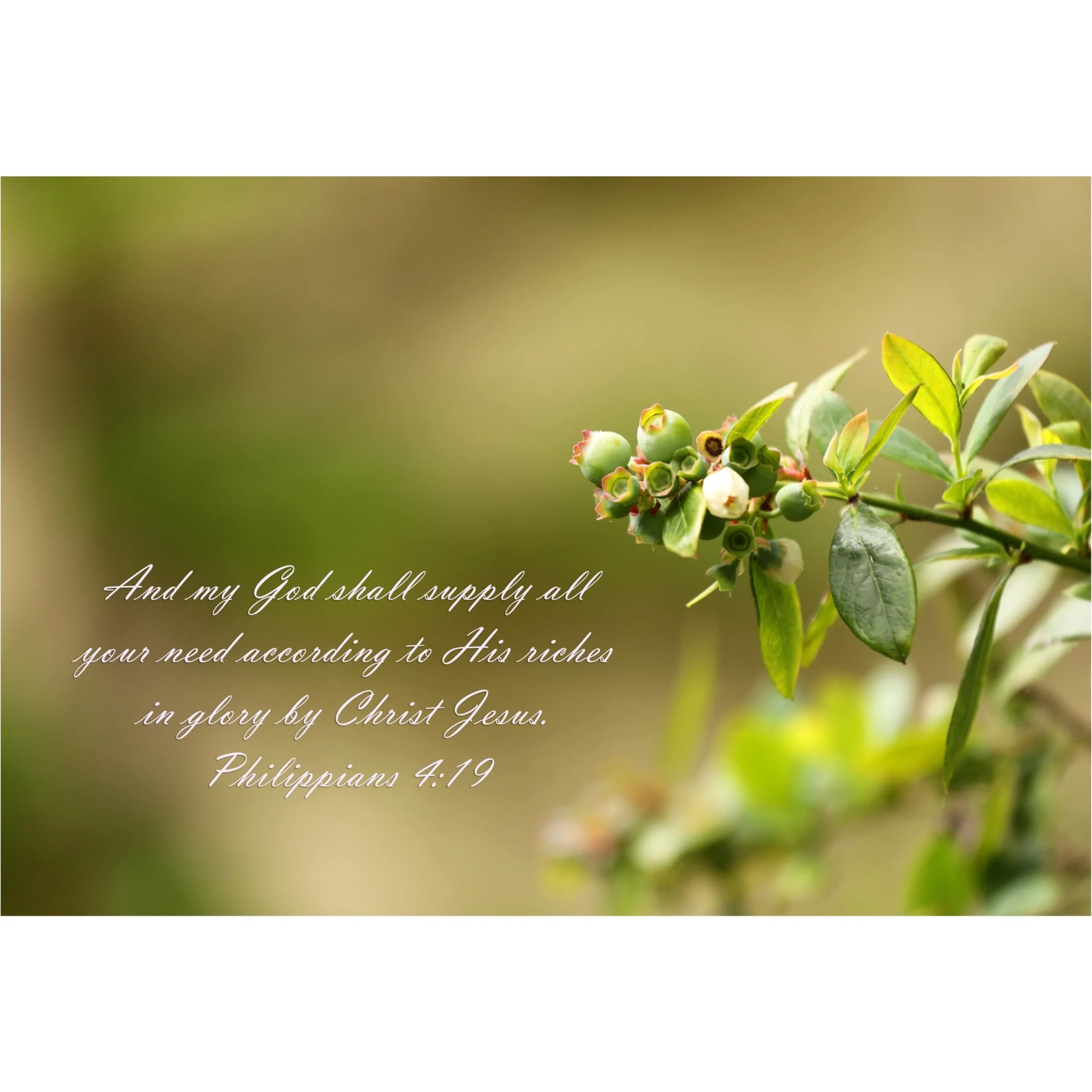 Philippians 4:19 God Shall Supply All Print