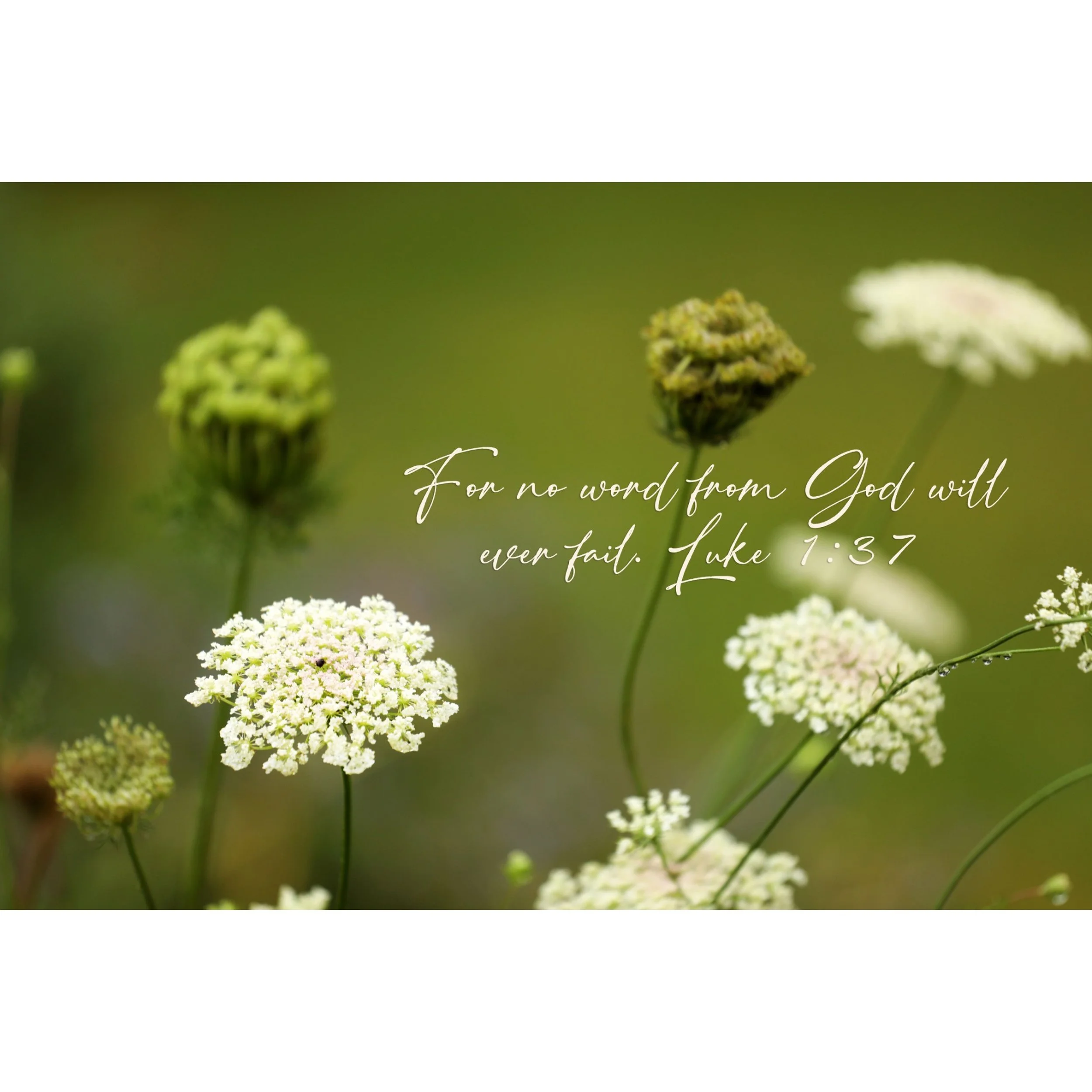 Luke 1:37 No Word Will Ever Fail Print