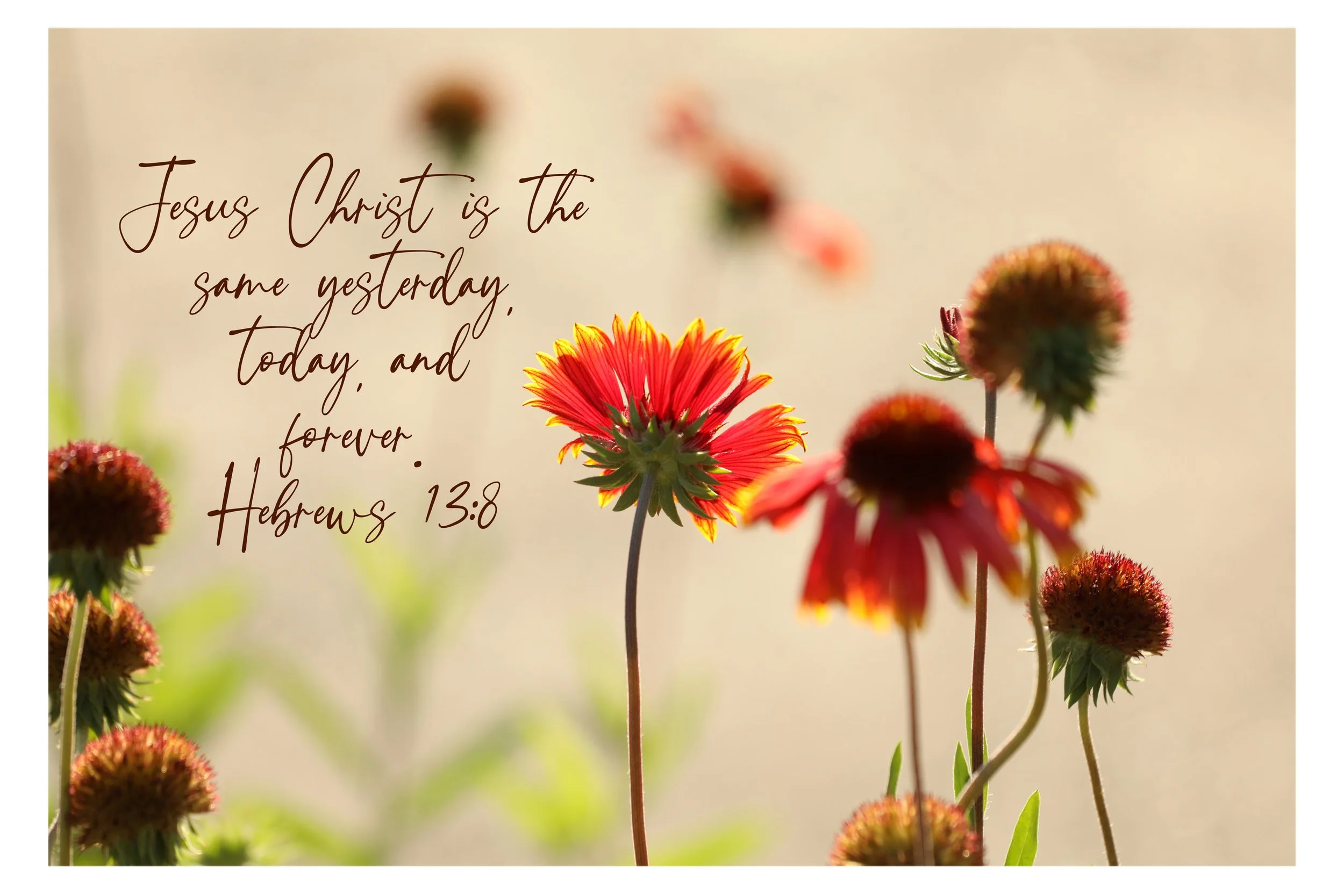 Hebrews 13:8 Christ Forever Framed Print