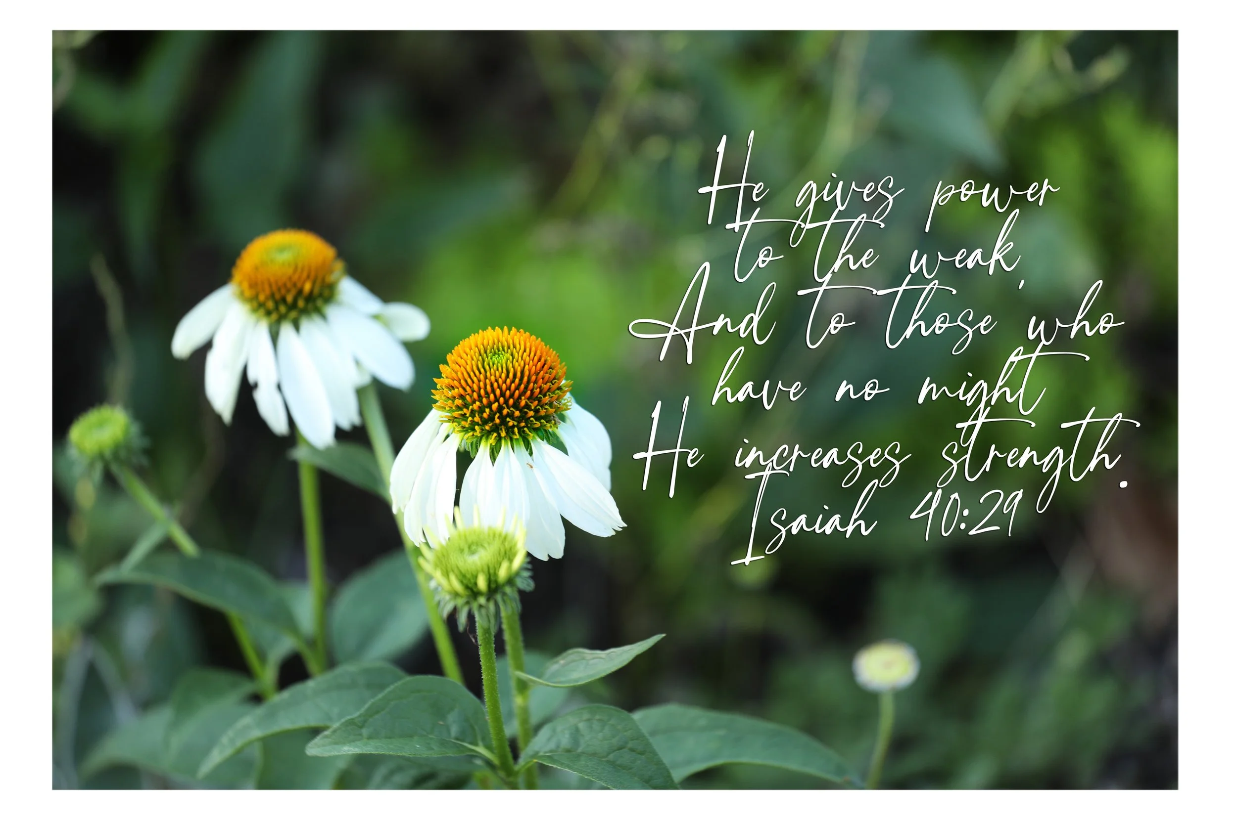 Isaiah 40:29 He Increases Strength Framed Print