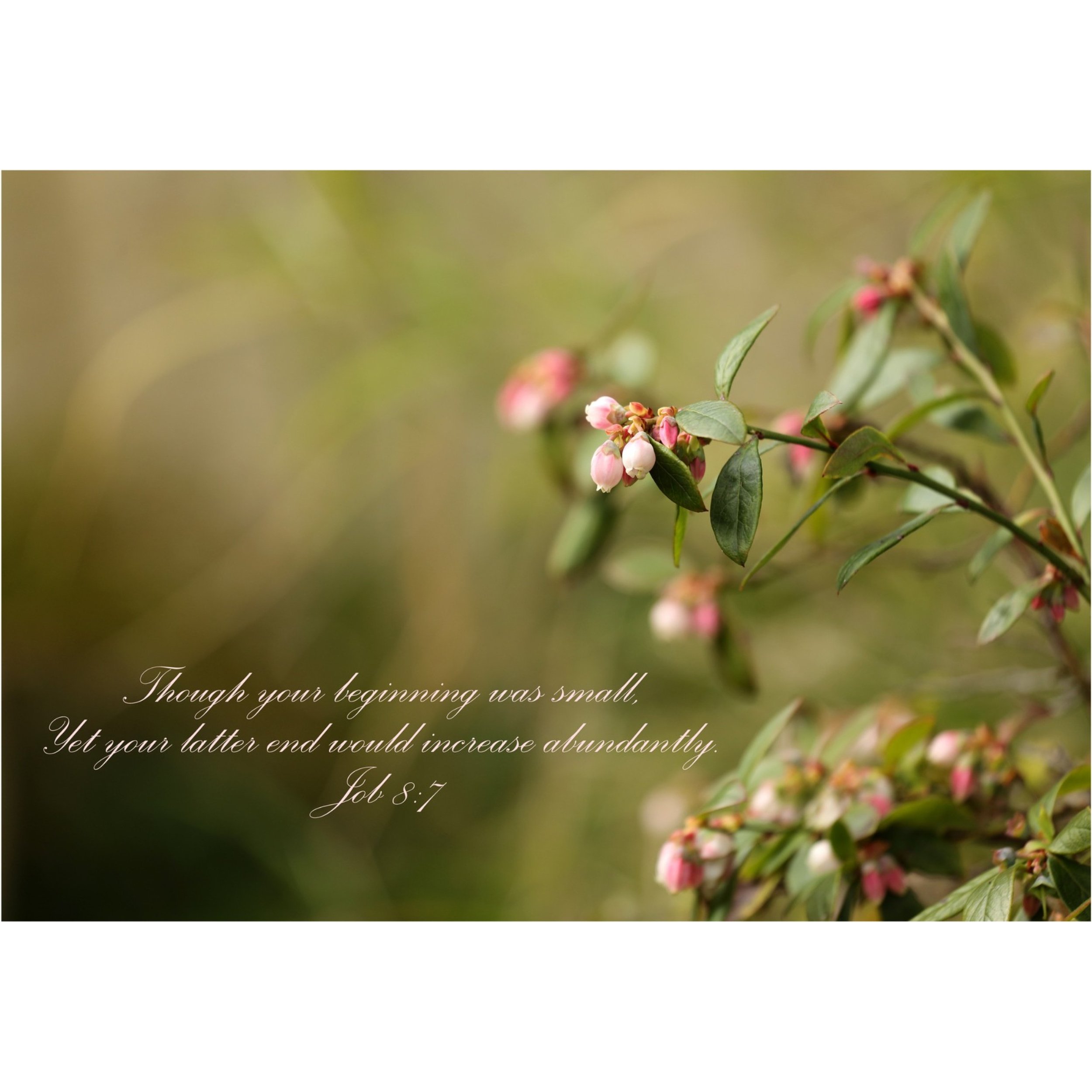 Job 8:7 Increase Abundantly Matted Print
