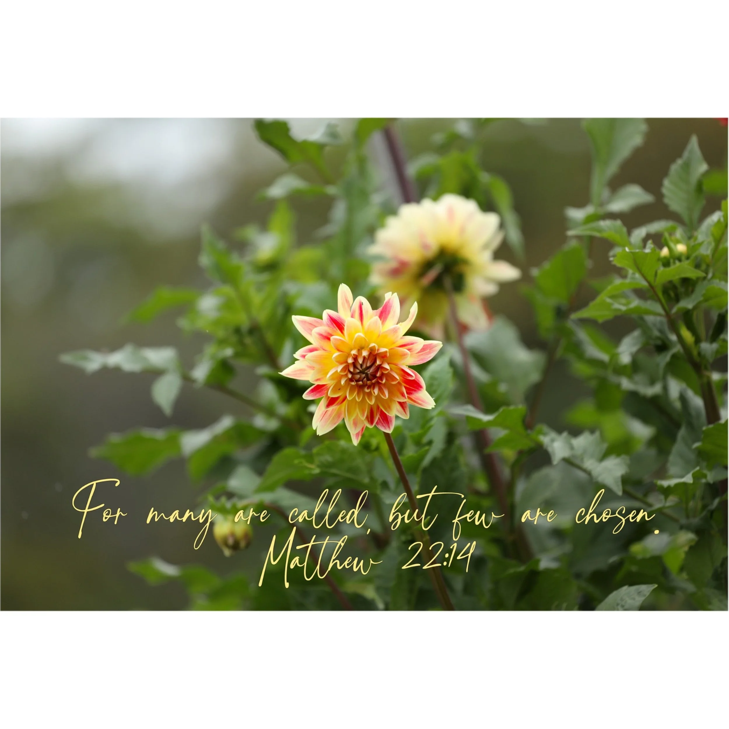 Matthew 22:14 For Many Are Called Matted Print