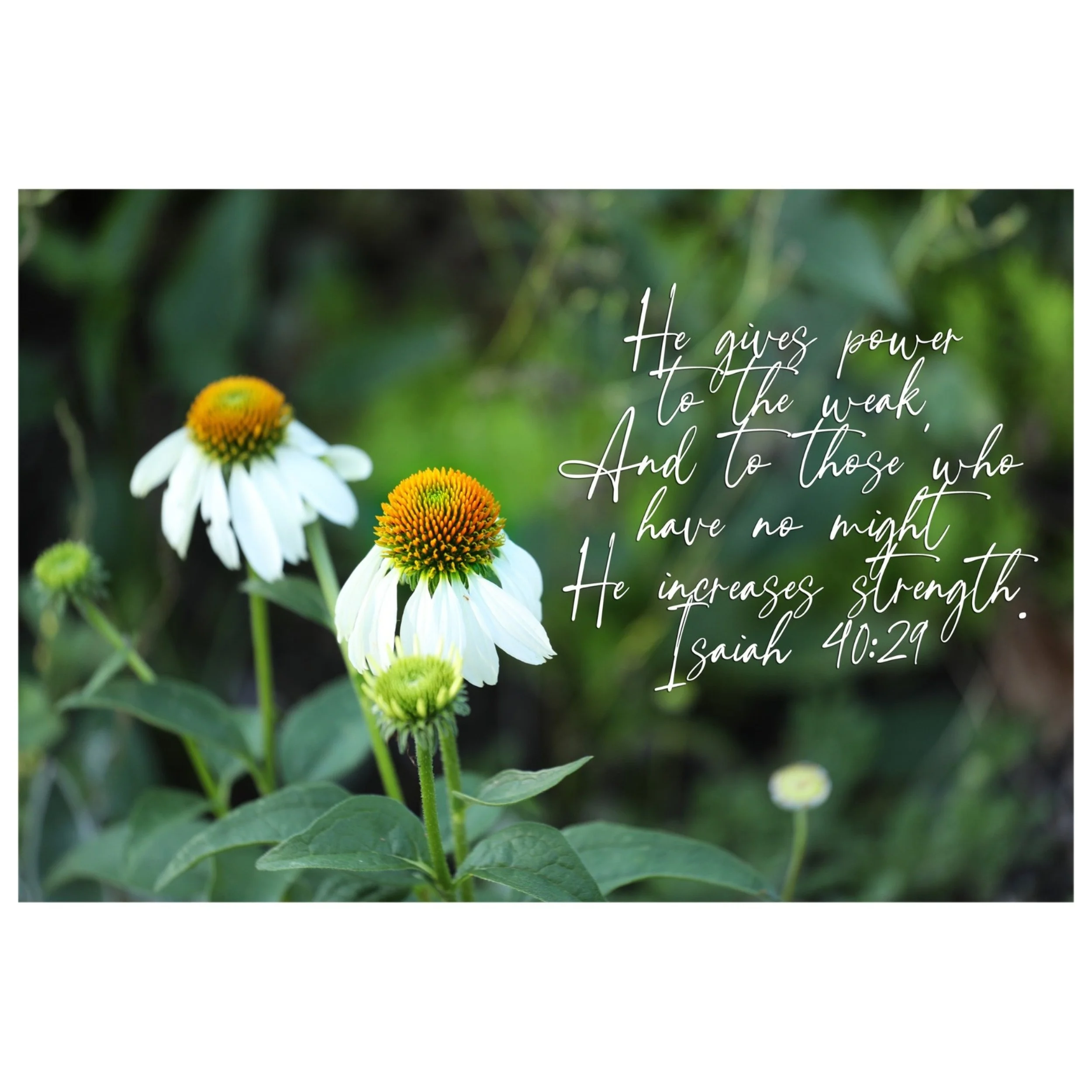 Isaiah 40:29 He Increases Strength Matted Print
