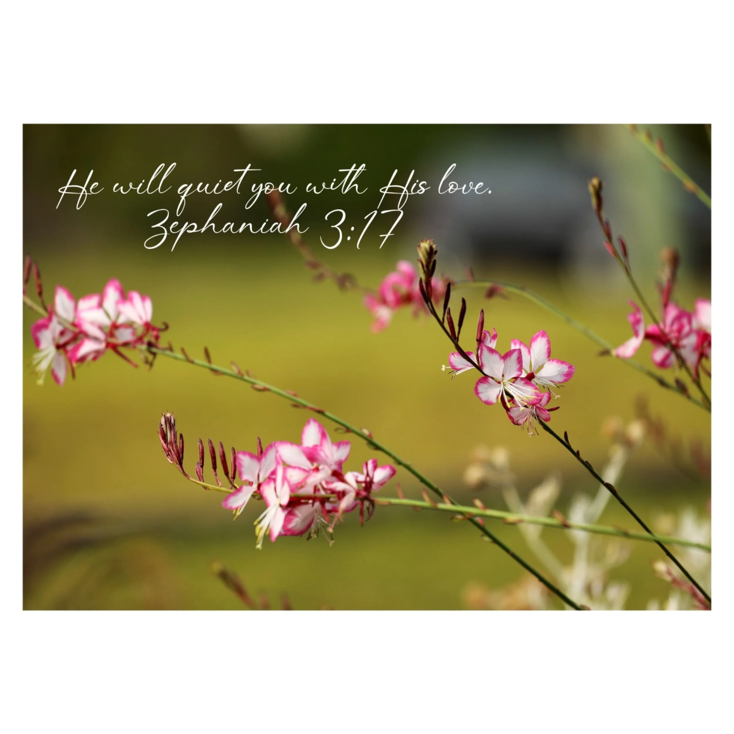 Zephaniah 3:17  Quiet You With His Love Matted Print
