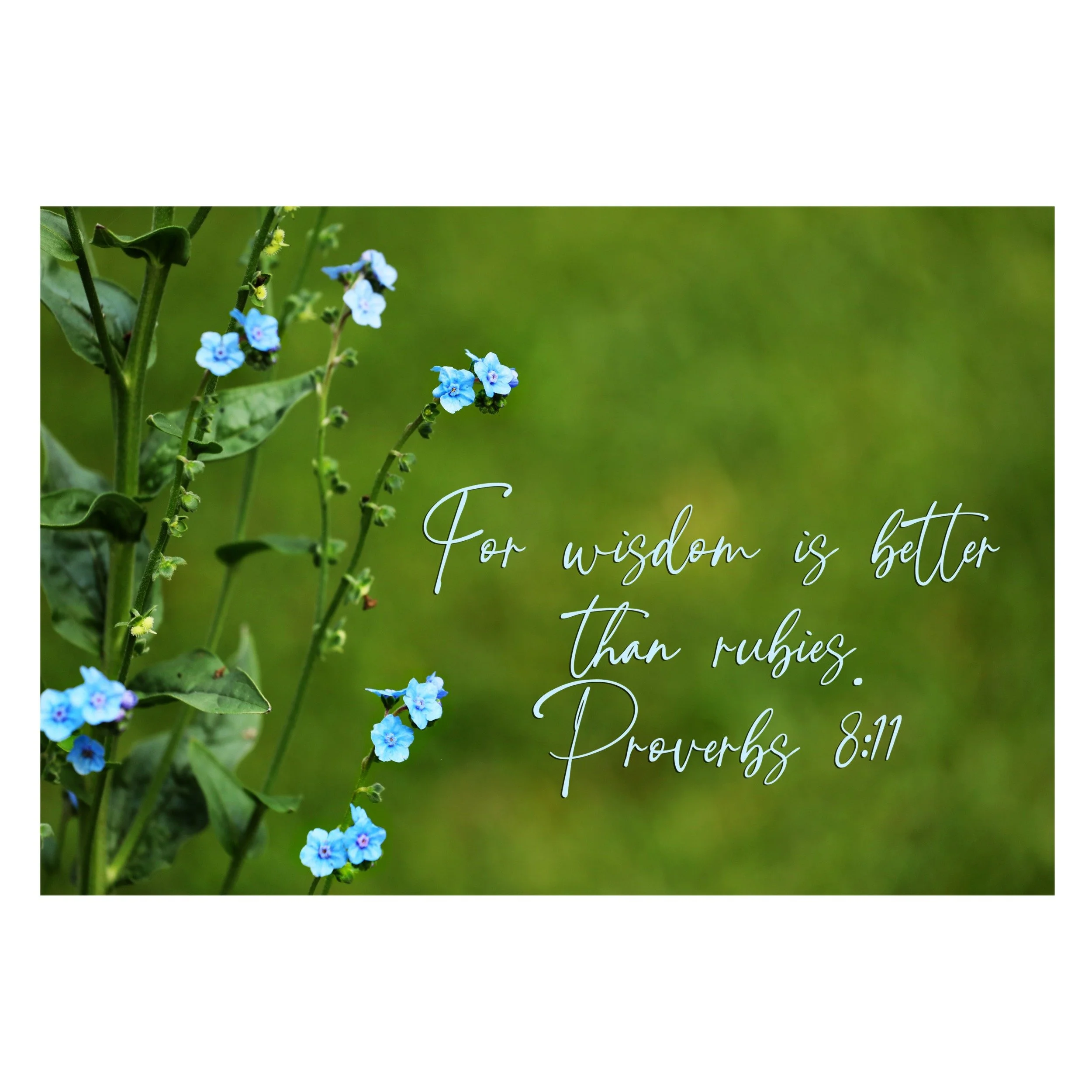 Proverbs 8:11 Wisdom Better Than Rubies Print