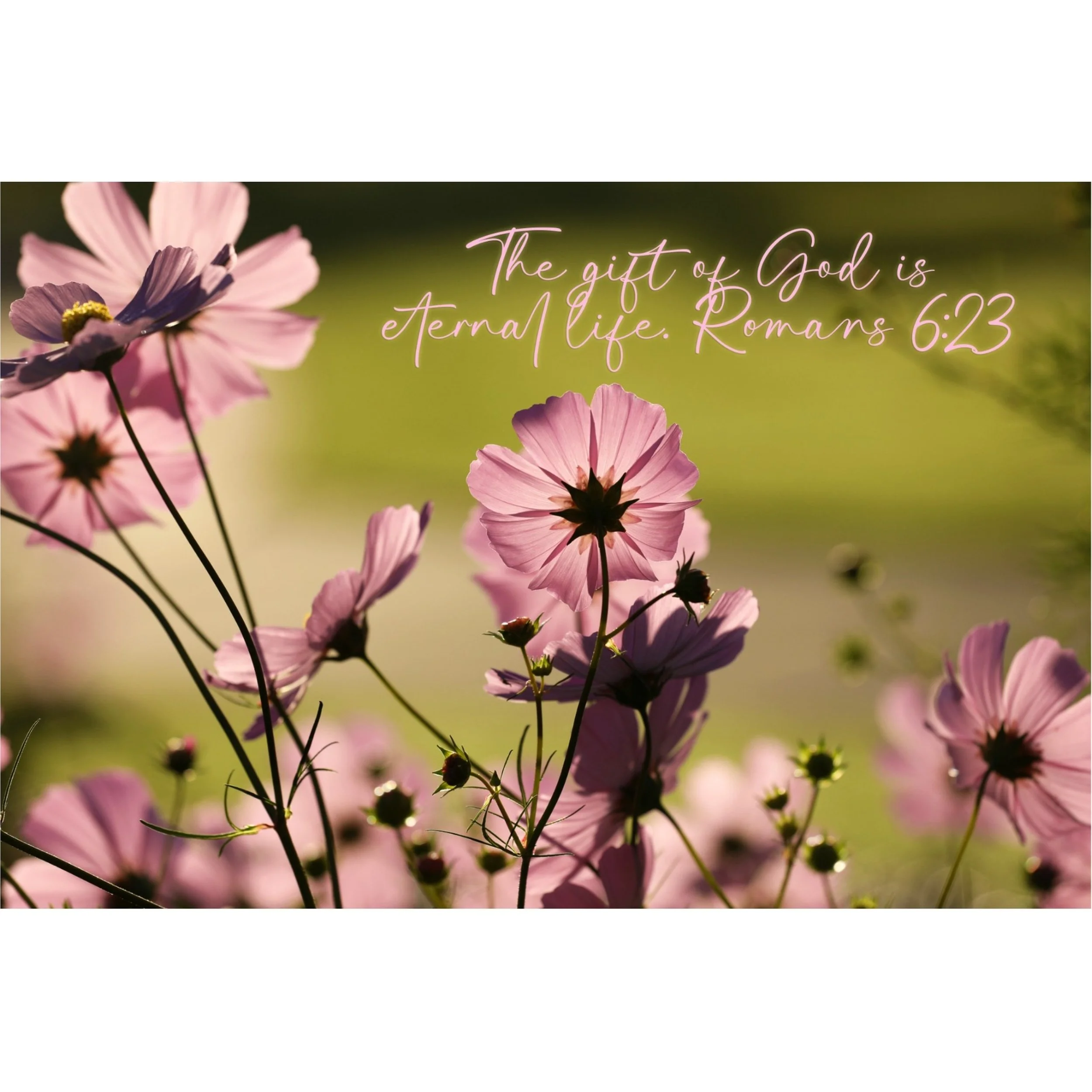 Romans 6:23 God Is Eternal Matted Print
