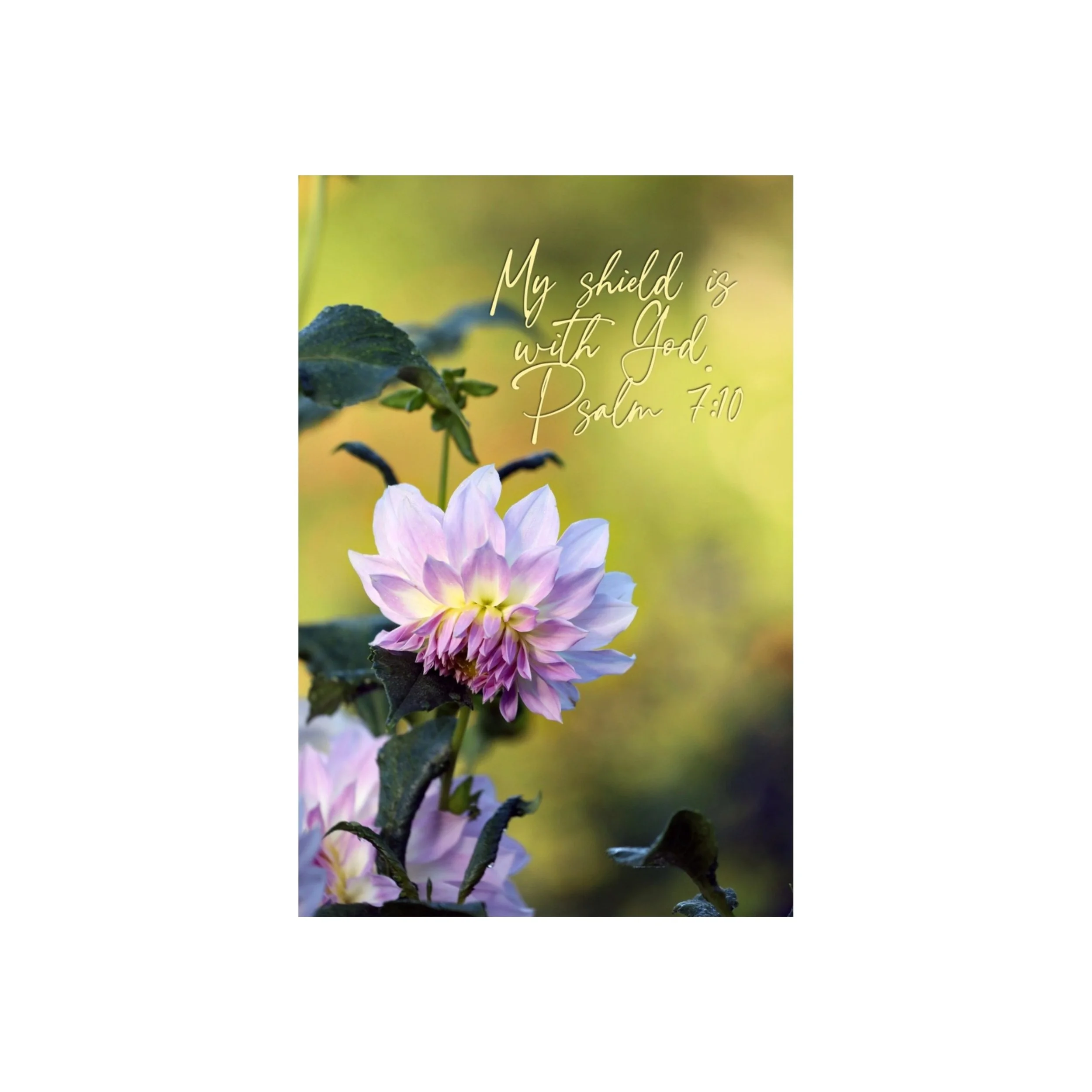 Psalm 7:10 My Shield Is With God Matted Print