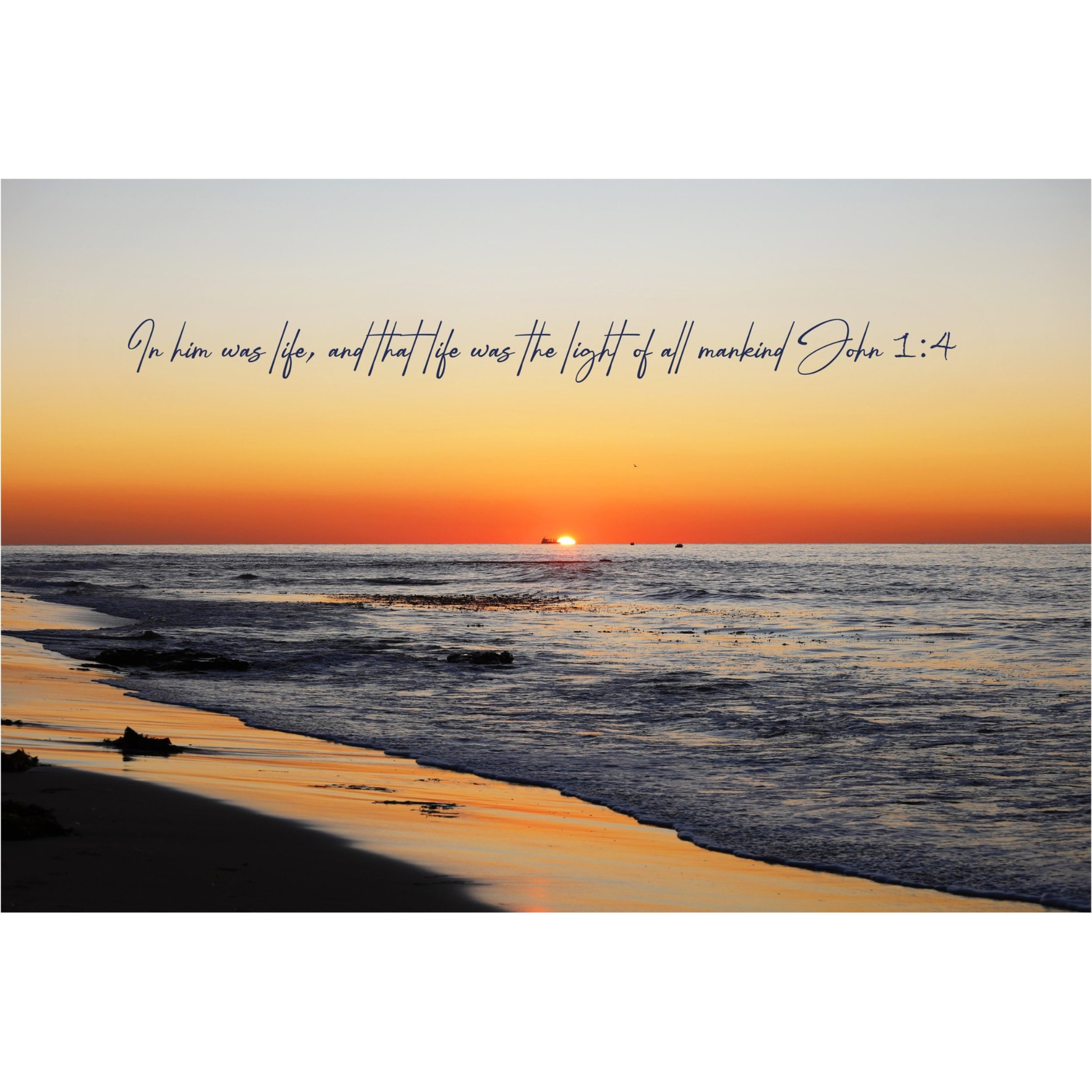 John 1:4 Light Of Mankind Matted Print