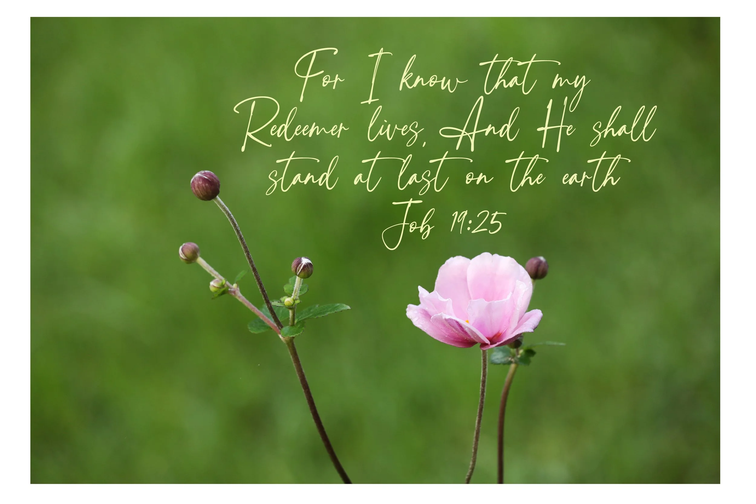 Job 19:25 My Redeemer Lives Print