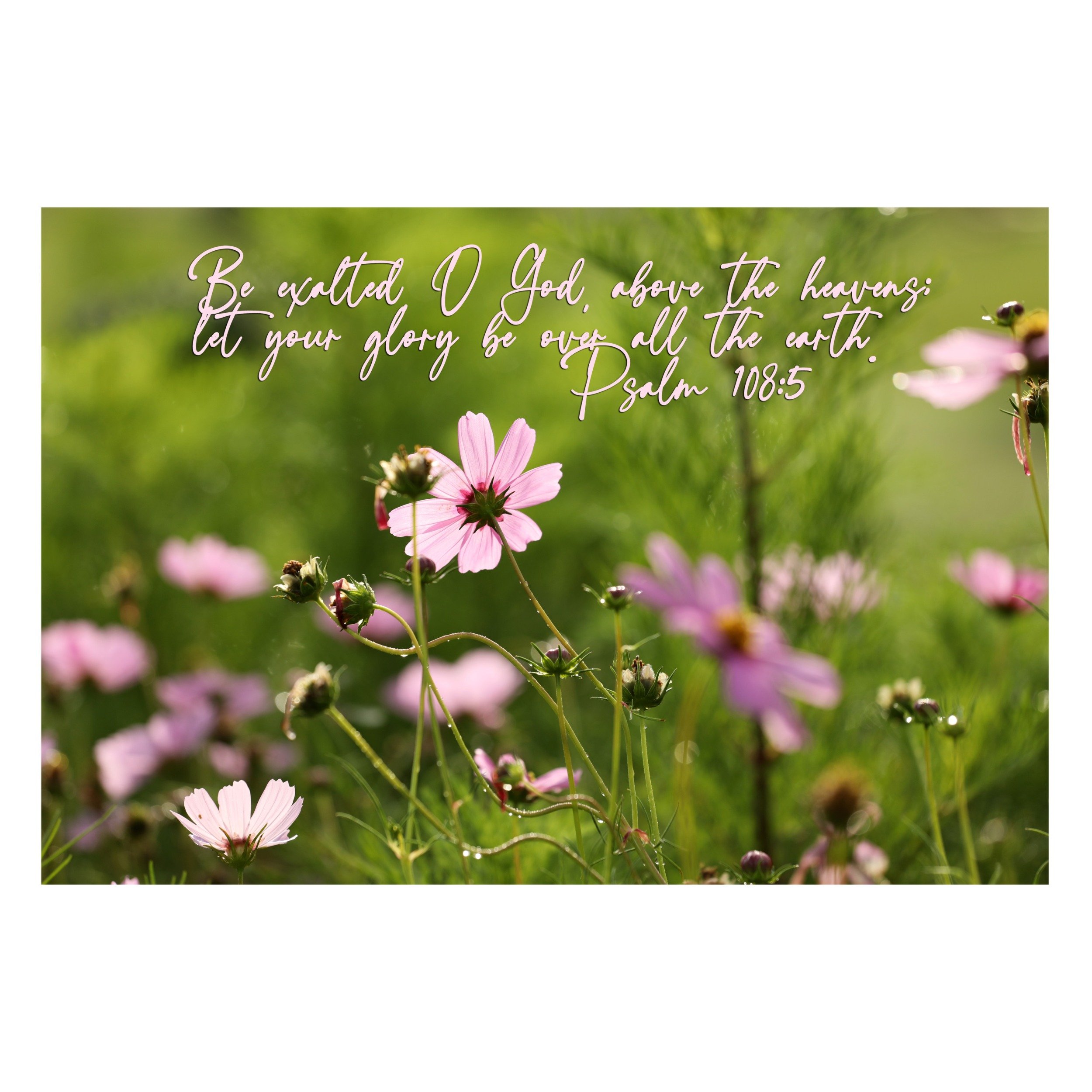 Psalm 108:5 Let Your Glory Be Over All The Earth Print