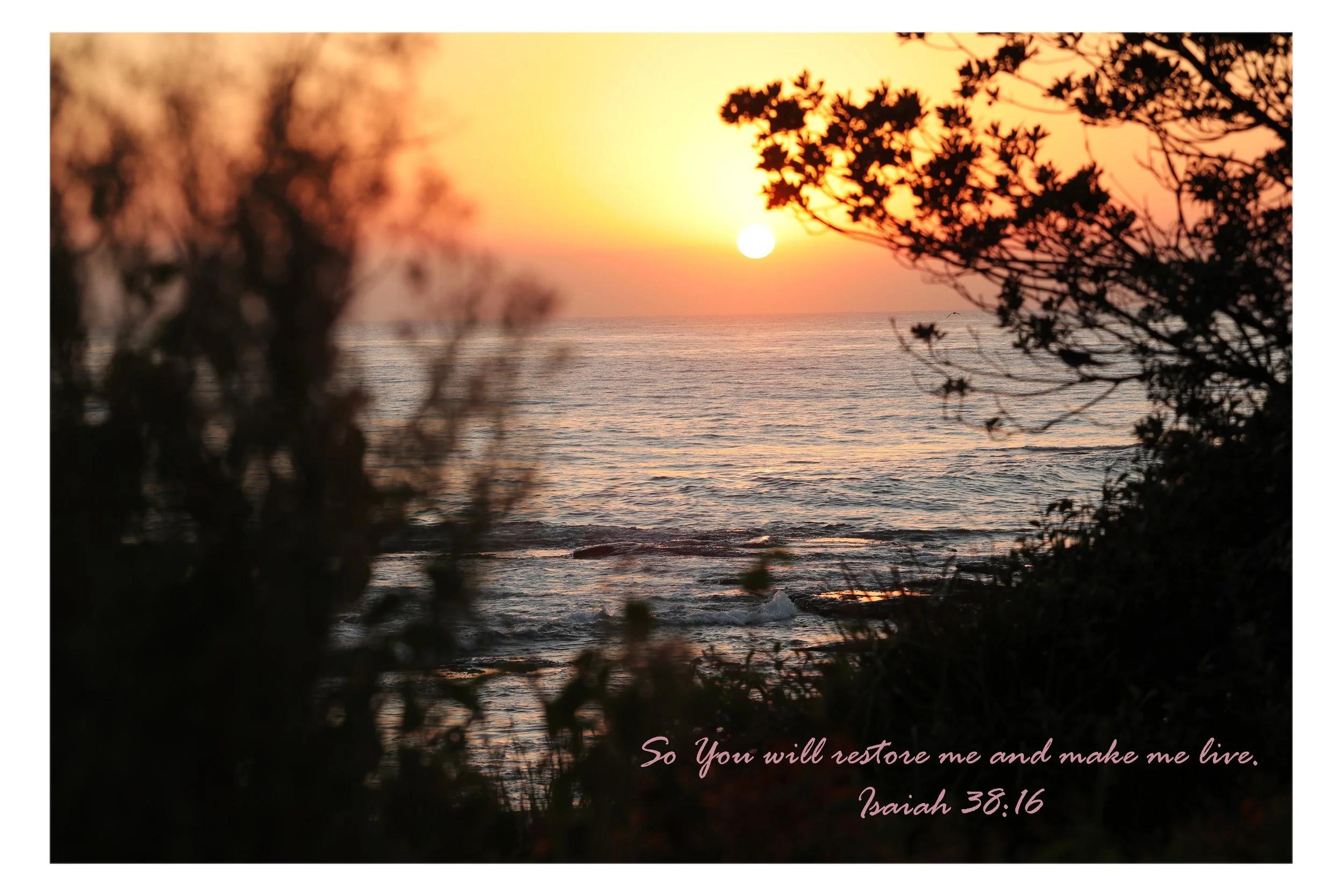 Isaiah 38:16 Restore Me Print