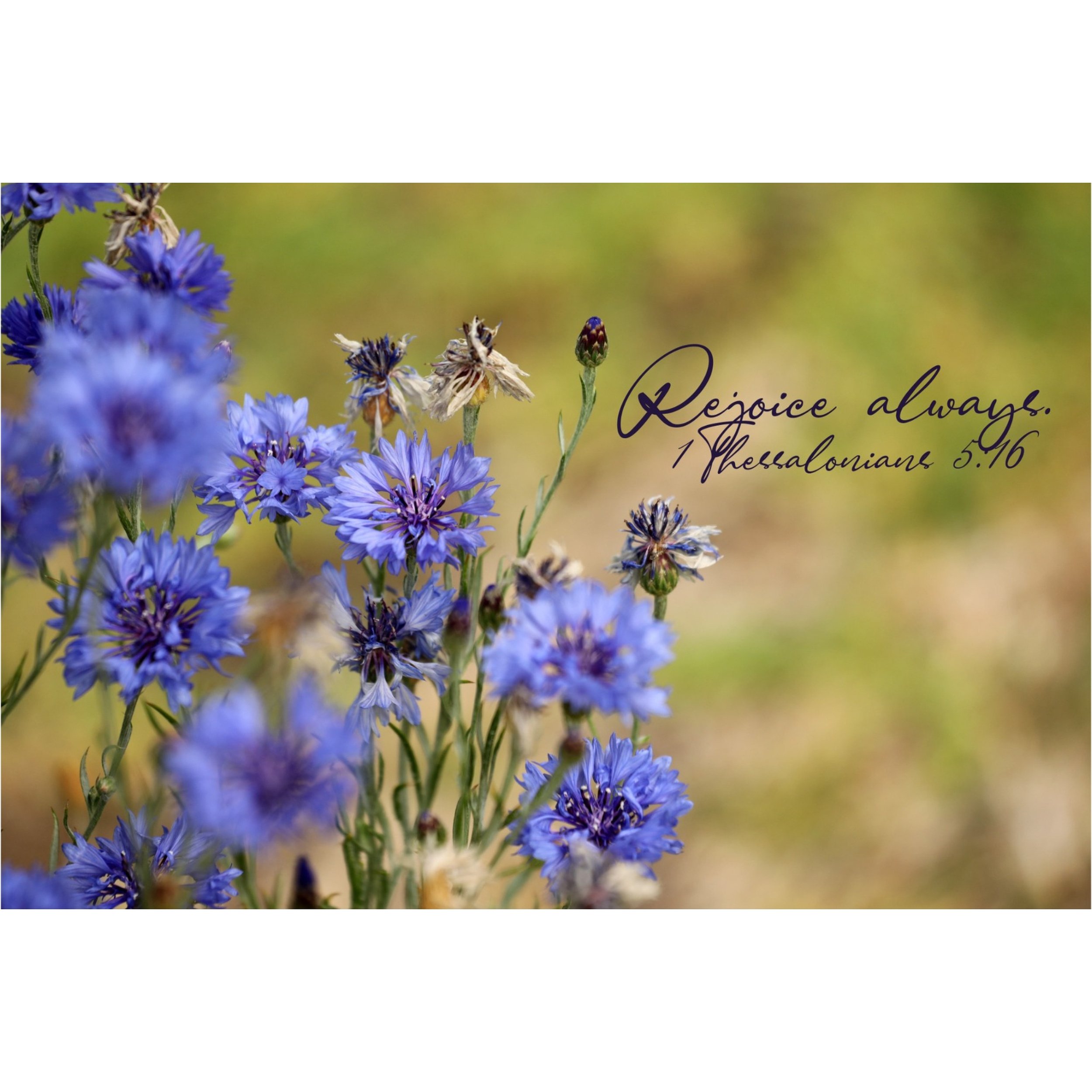 1 Thessalonians 5:16 Rejoice Always Matted Print