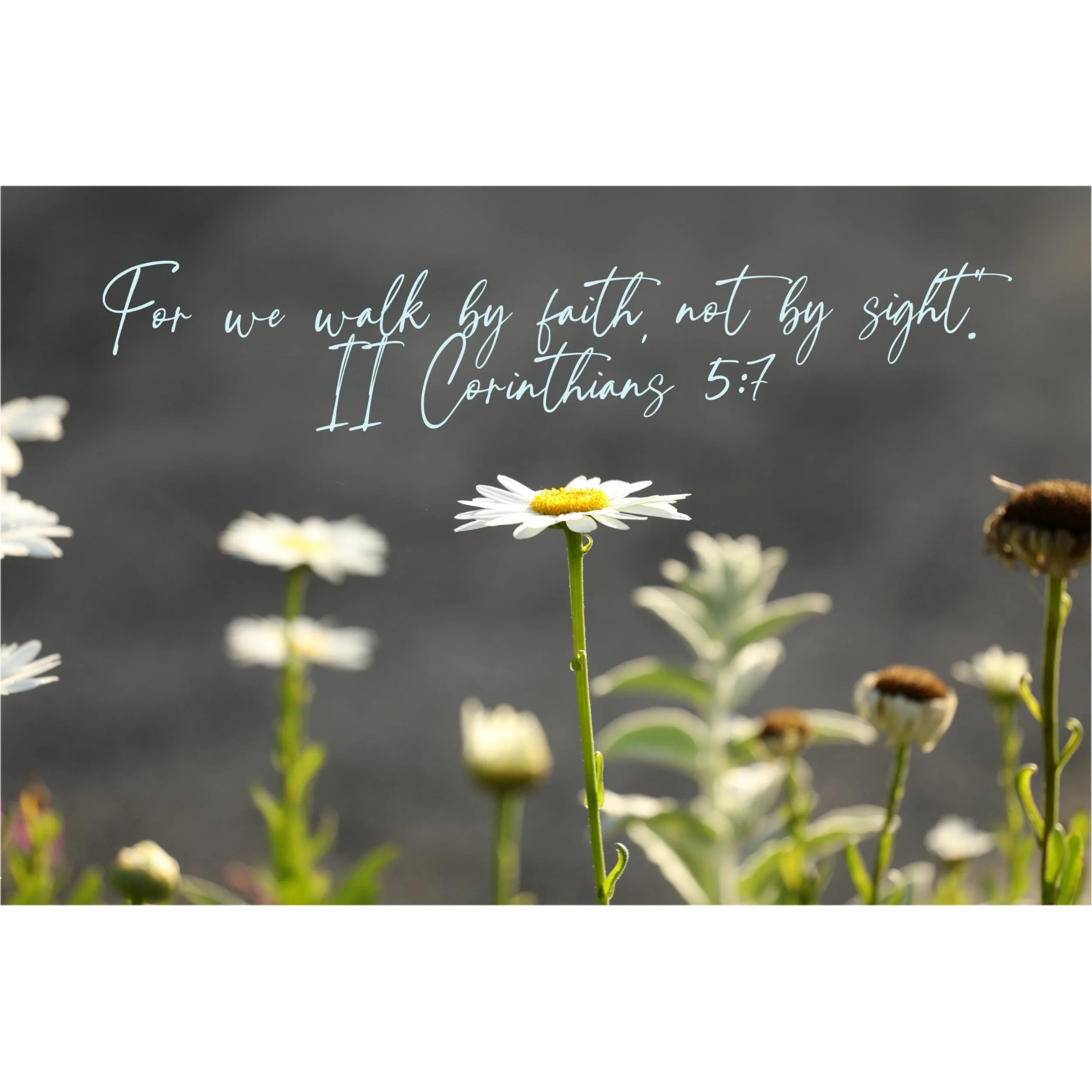 2 Corinthians 5:7 Walk By Faith Matted Print