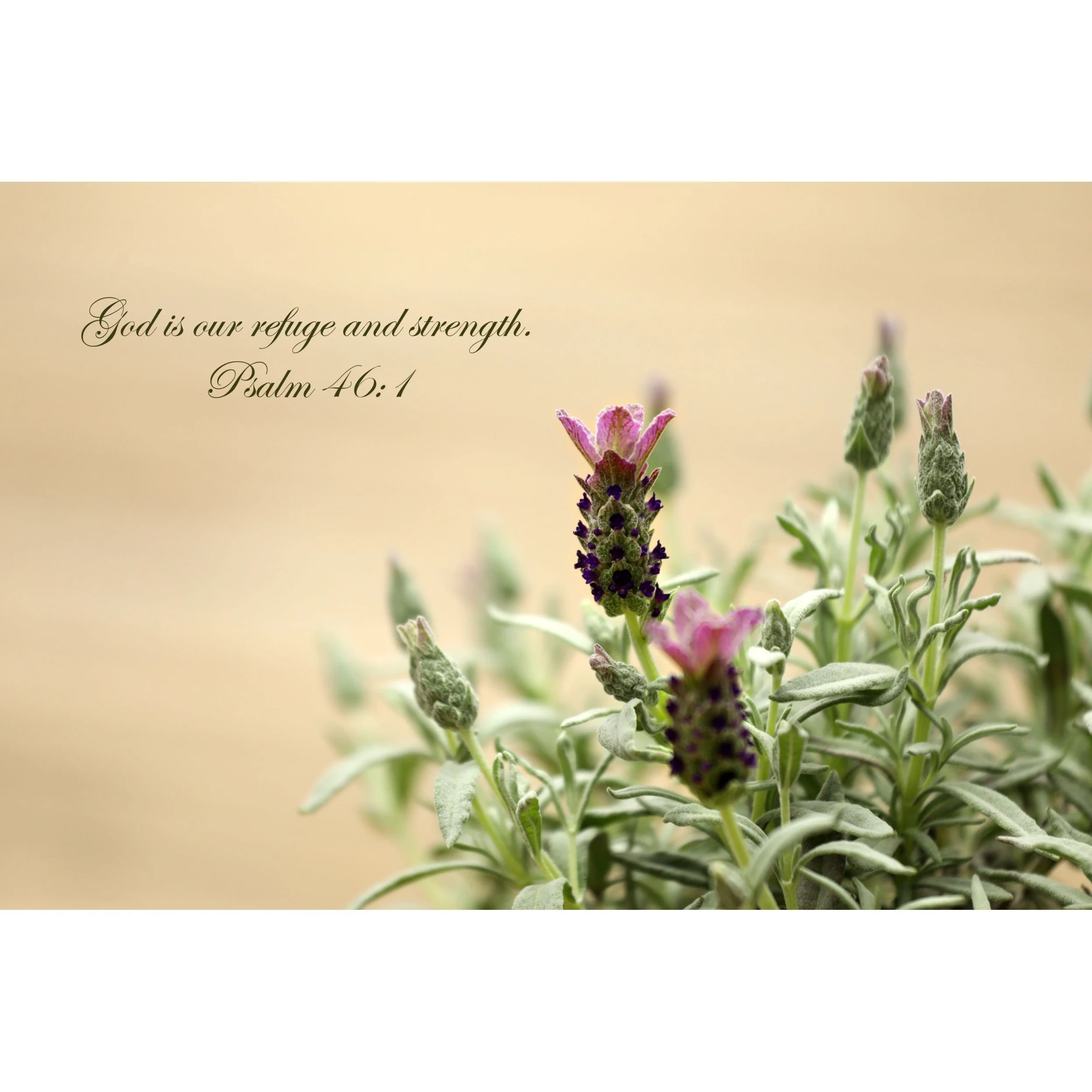 Psalm 46:1 God Is Our Refuge Matted Print