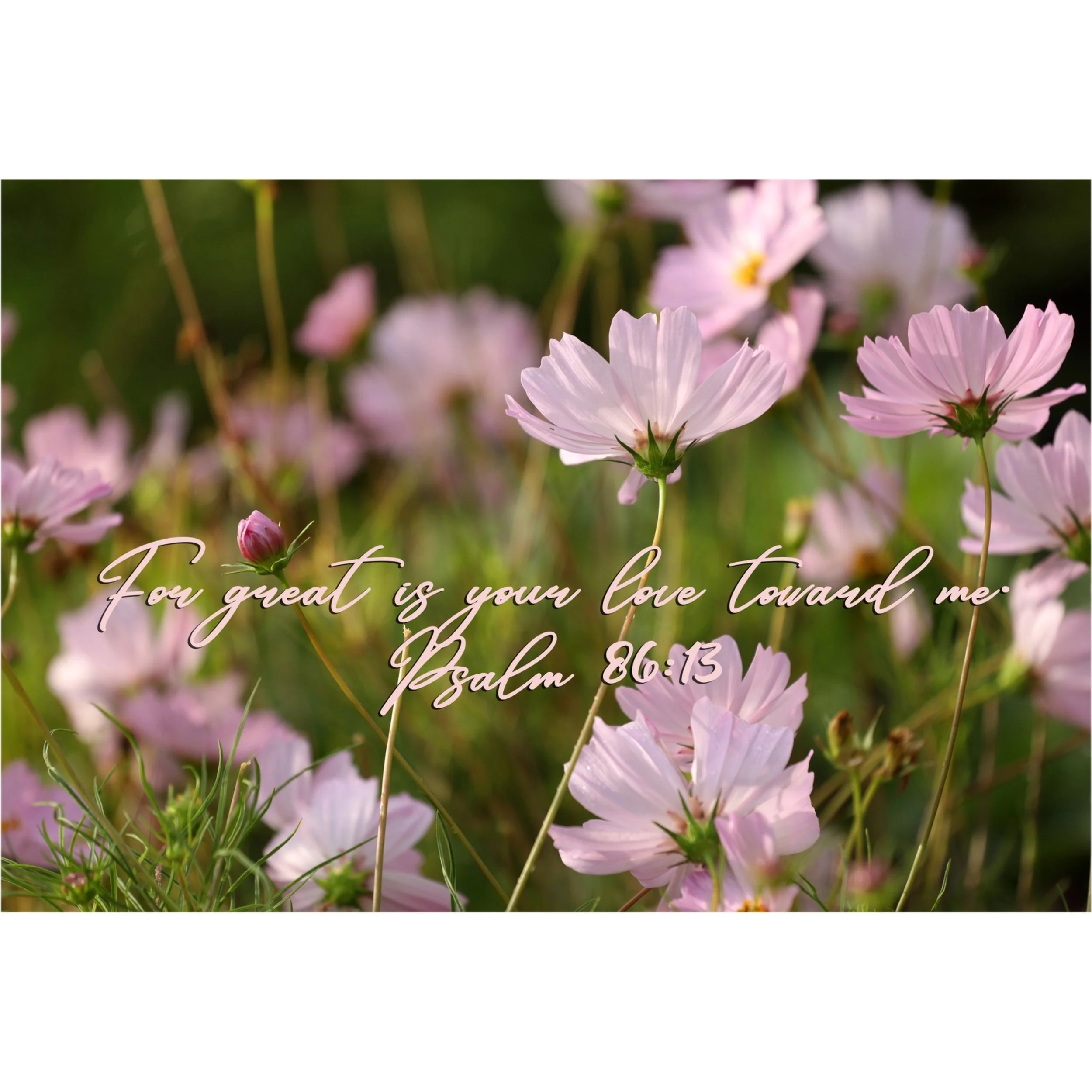 Psalm 86:13 Great Is Your Love Matted Print