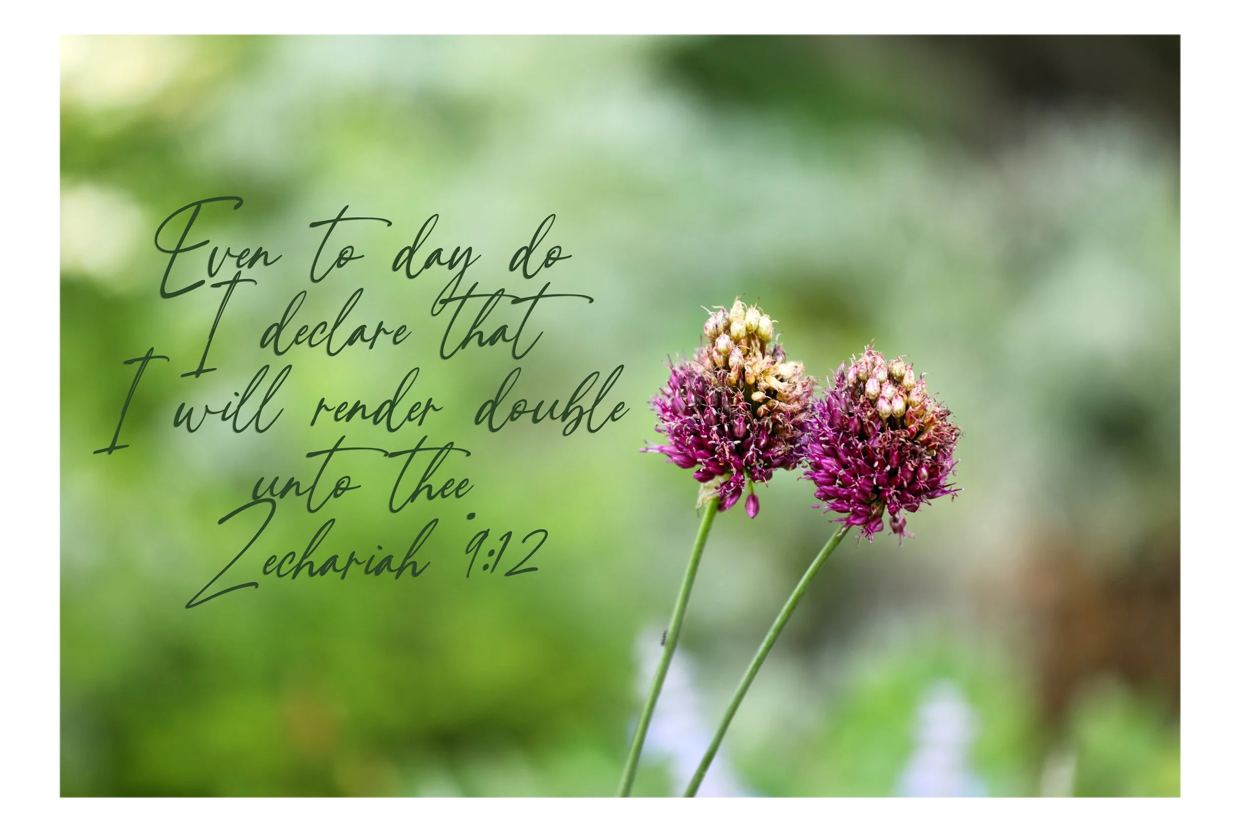 Zechariah 9:12  Double Unto Thee Print