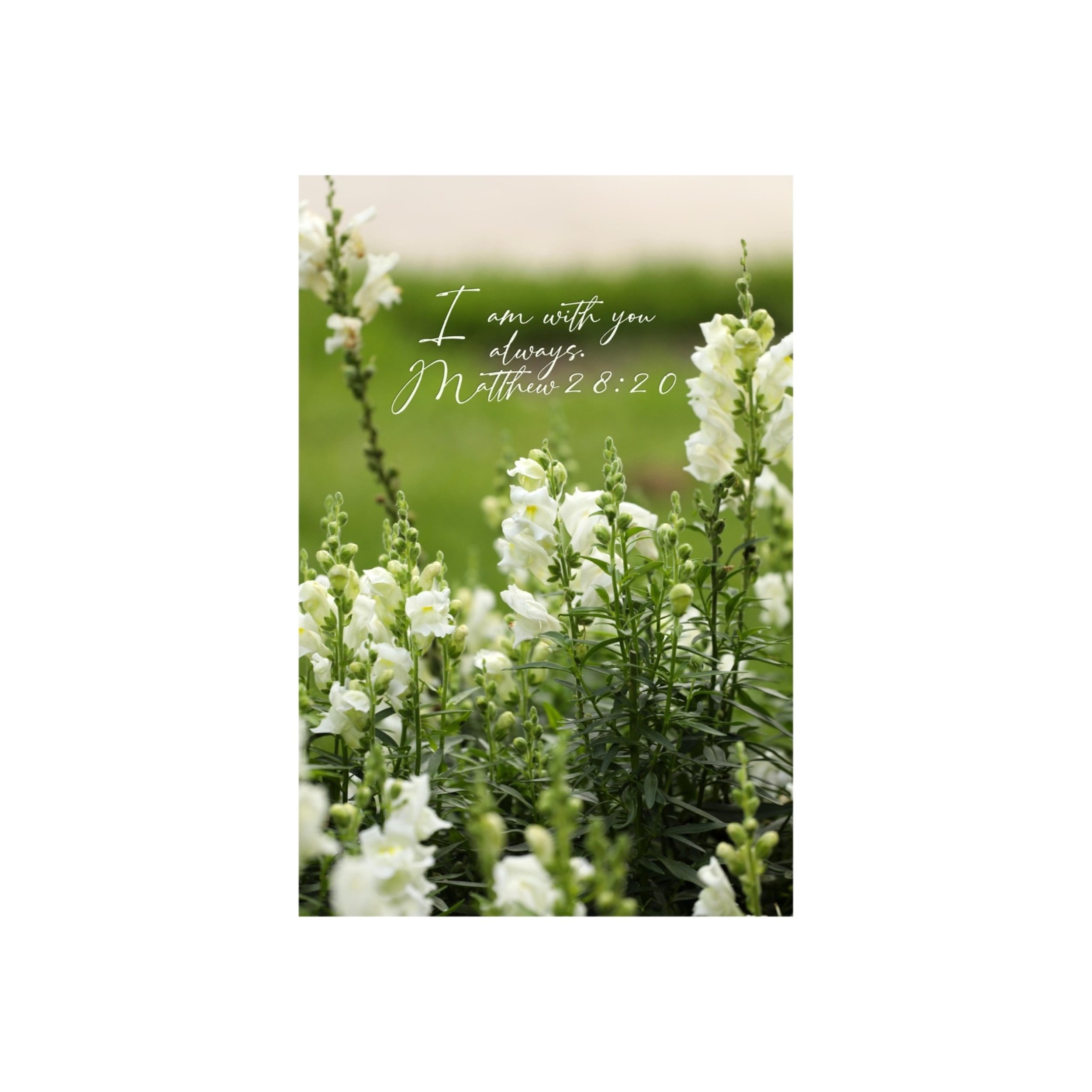 Matthew 28:20 With You Always Matted Print