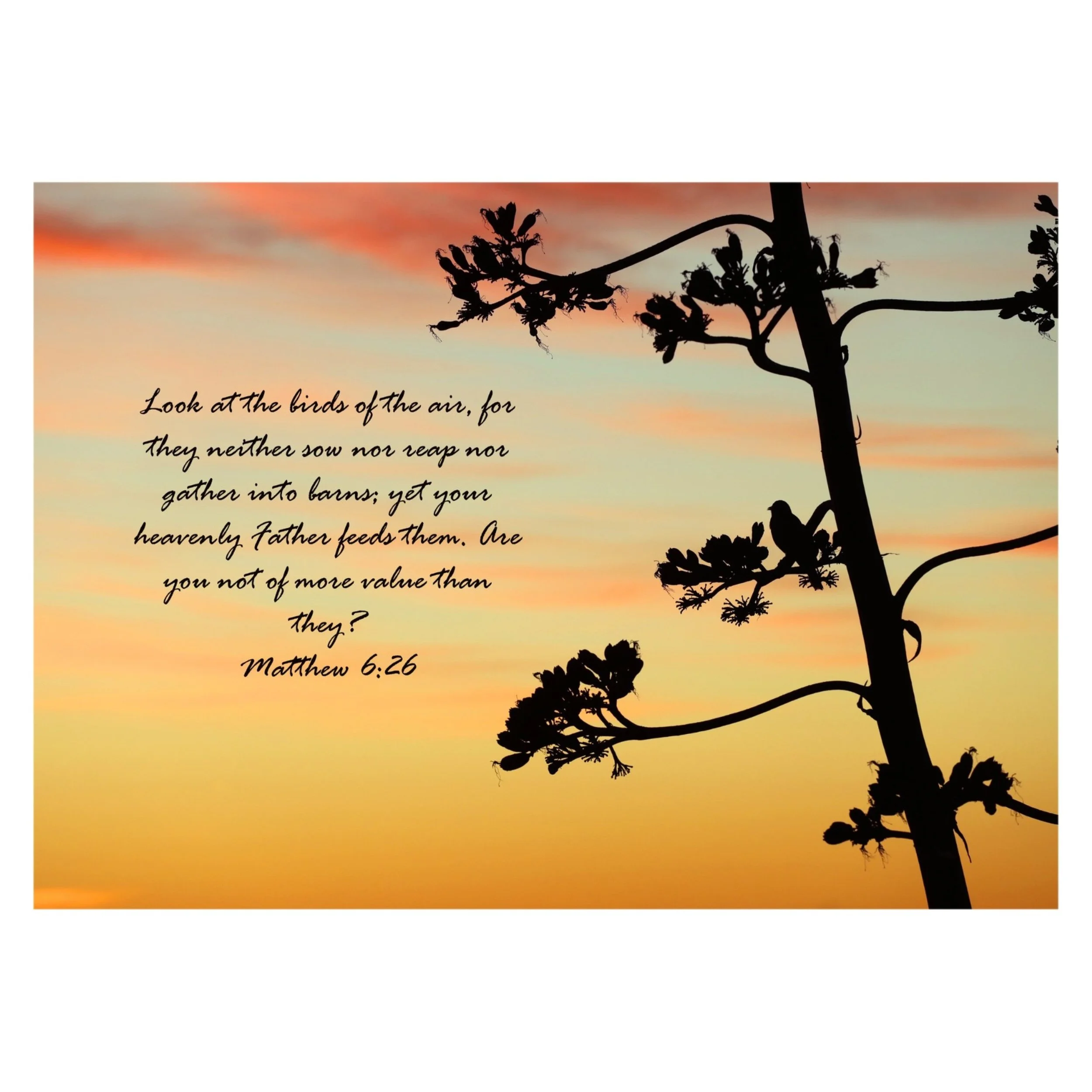 Matthew 6:26 Birds Of The Air Print