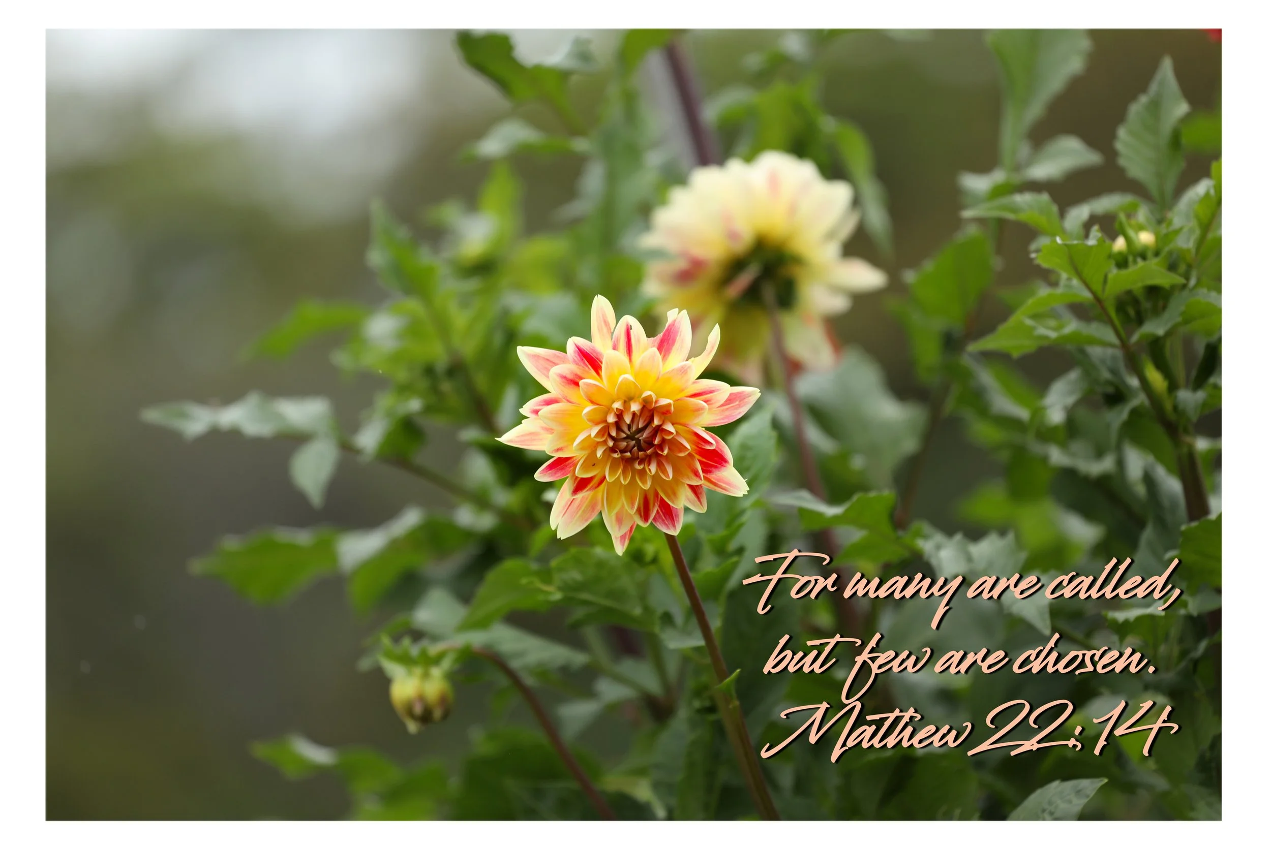 Mathew 22:14 For Many Are Called Framed Print