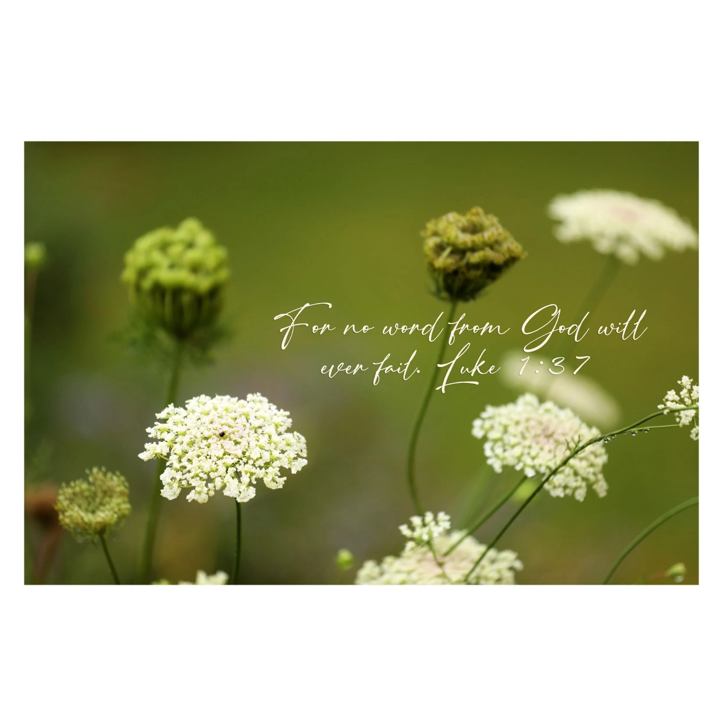 211A7831(2)_Squarespace2500.jpg