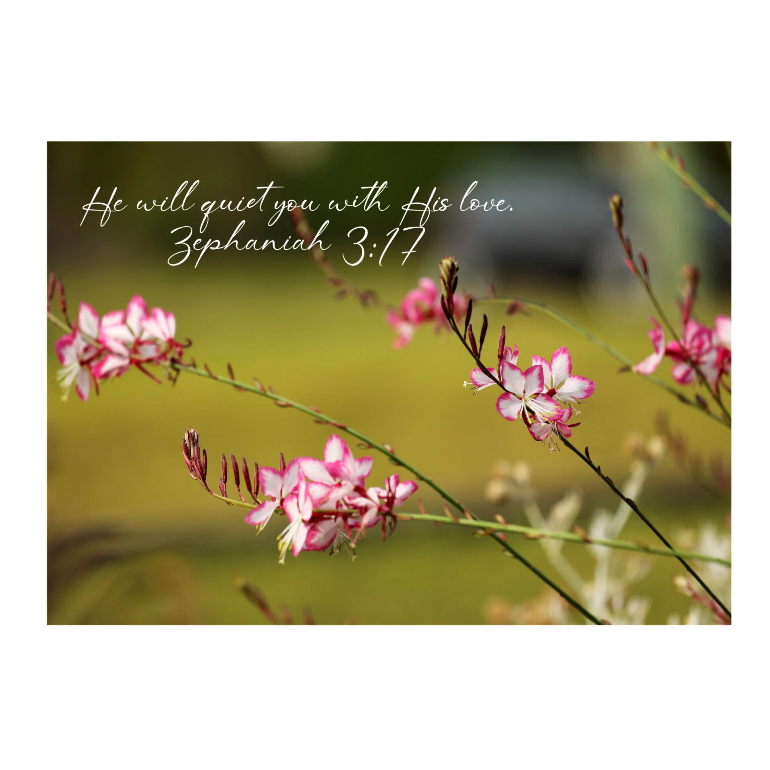 Zephaniah 3:17  Quiet You With His Love Print