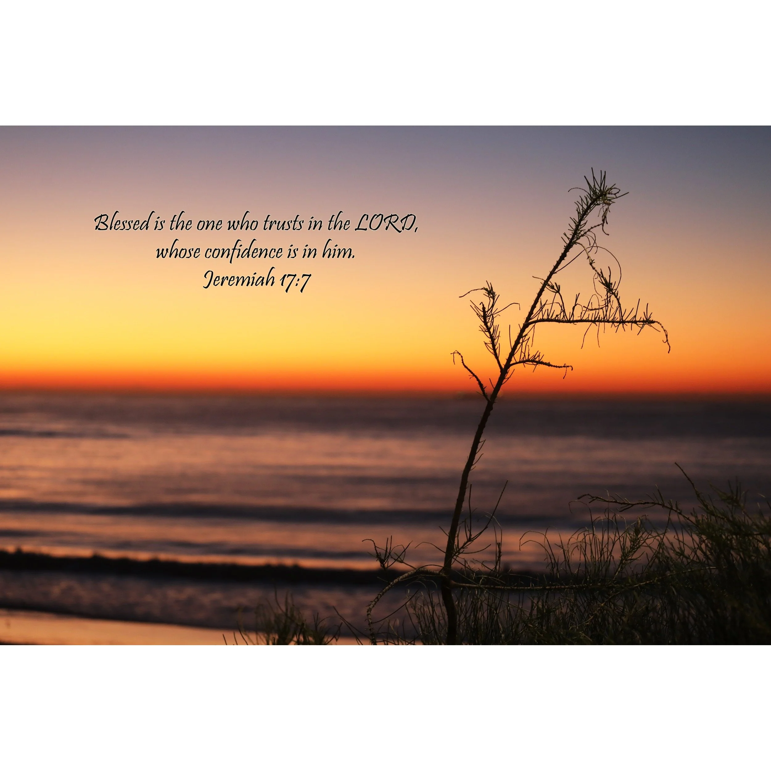 Jeremiah 17:7 Reed Print