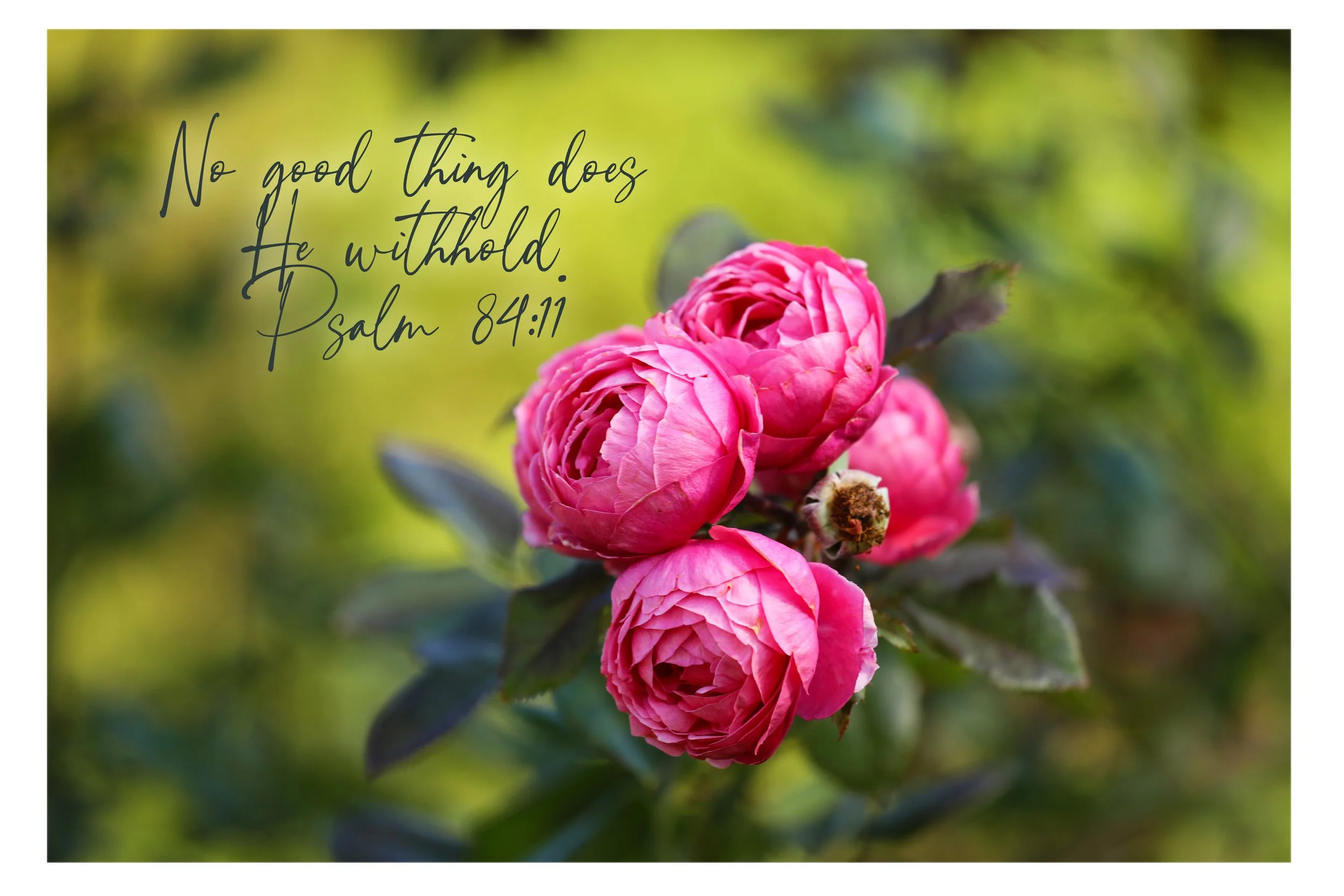 Psalm 84:11 No Good Thing Does He Withhold Framed Print