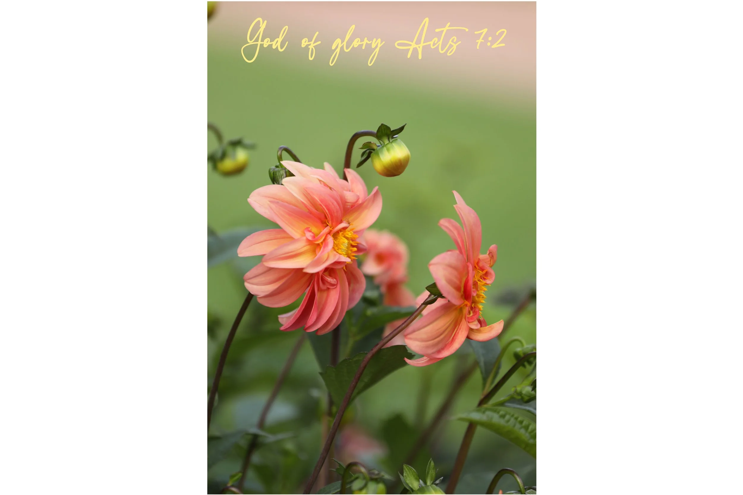 Acts 7:2 God Of Glory Matted Print
