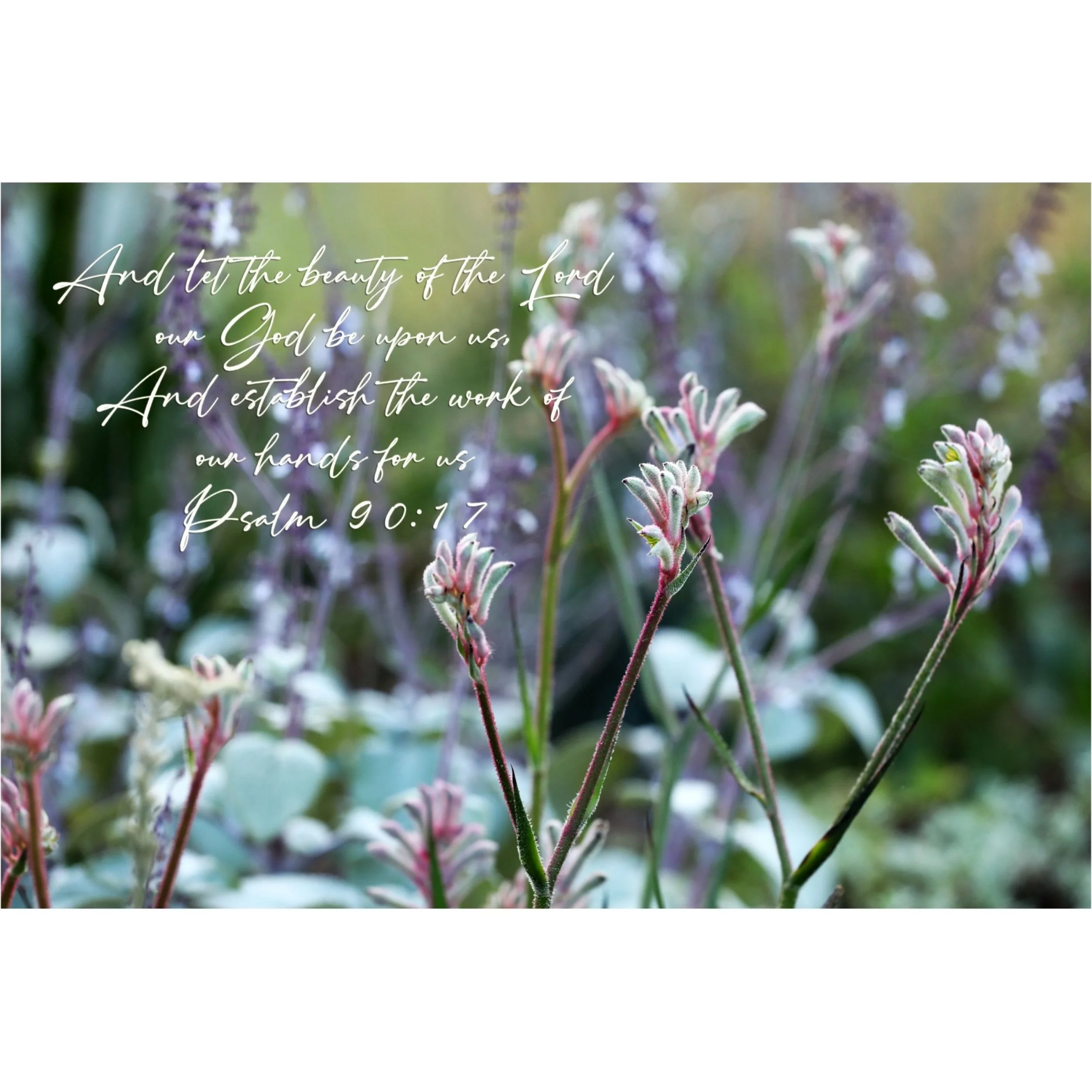 Psalm 90:17 Beauty Of The Lord Matted Print