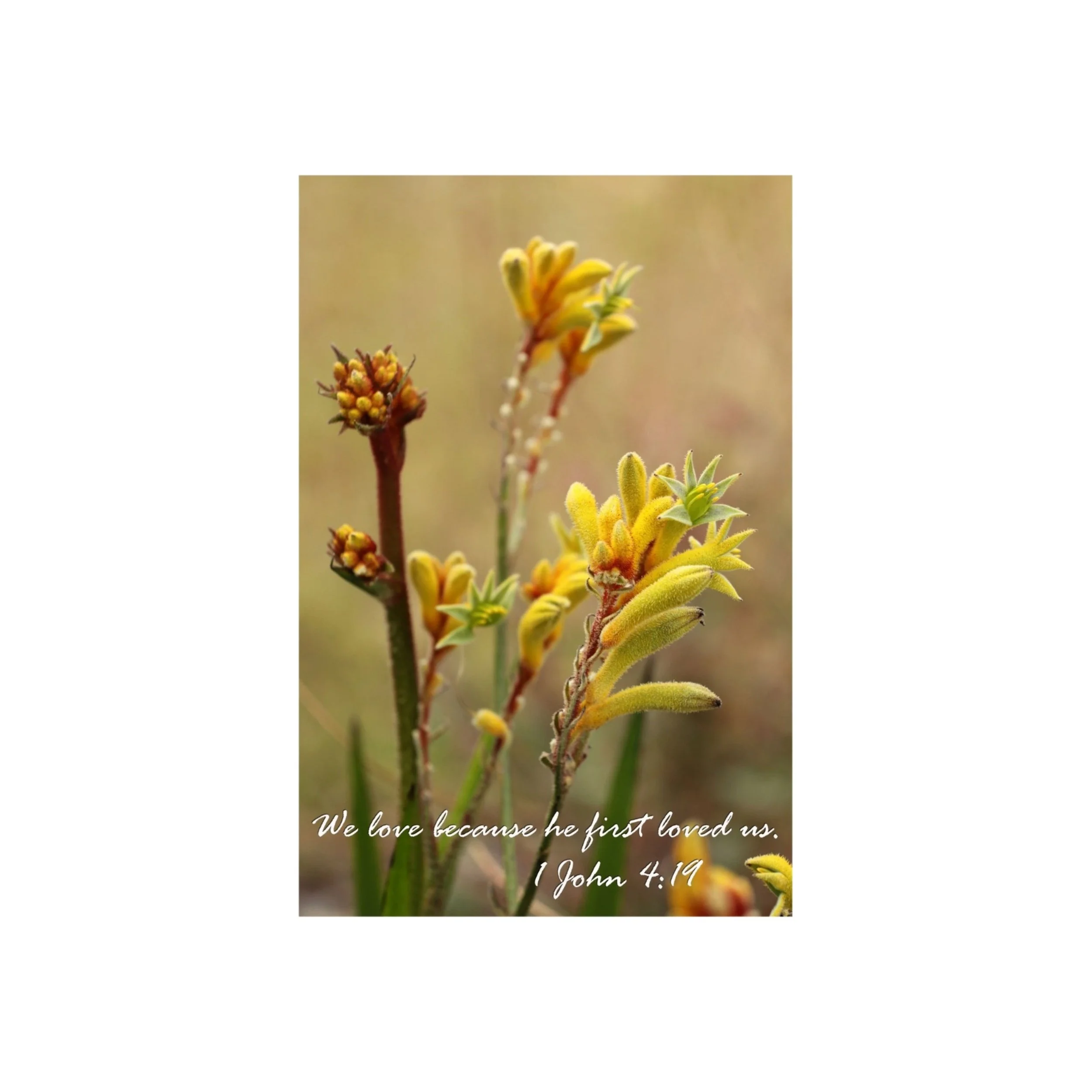 1 John 4:19 He First Loved Us Matted Print