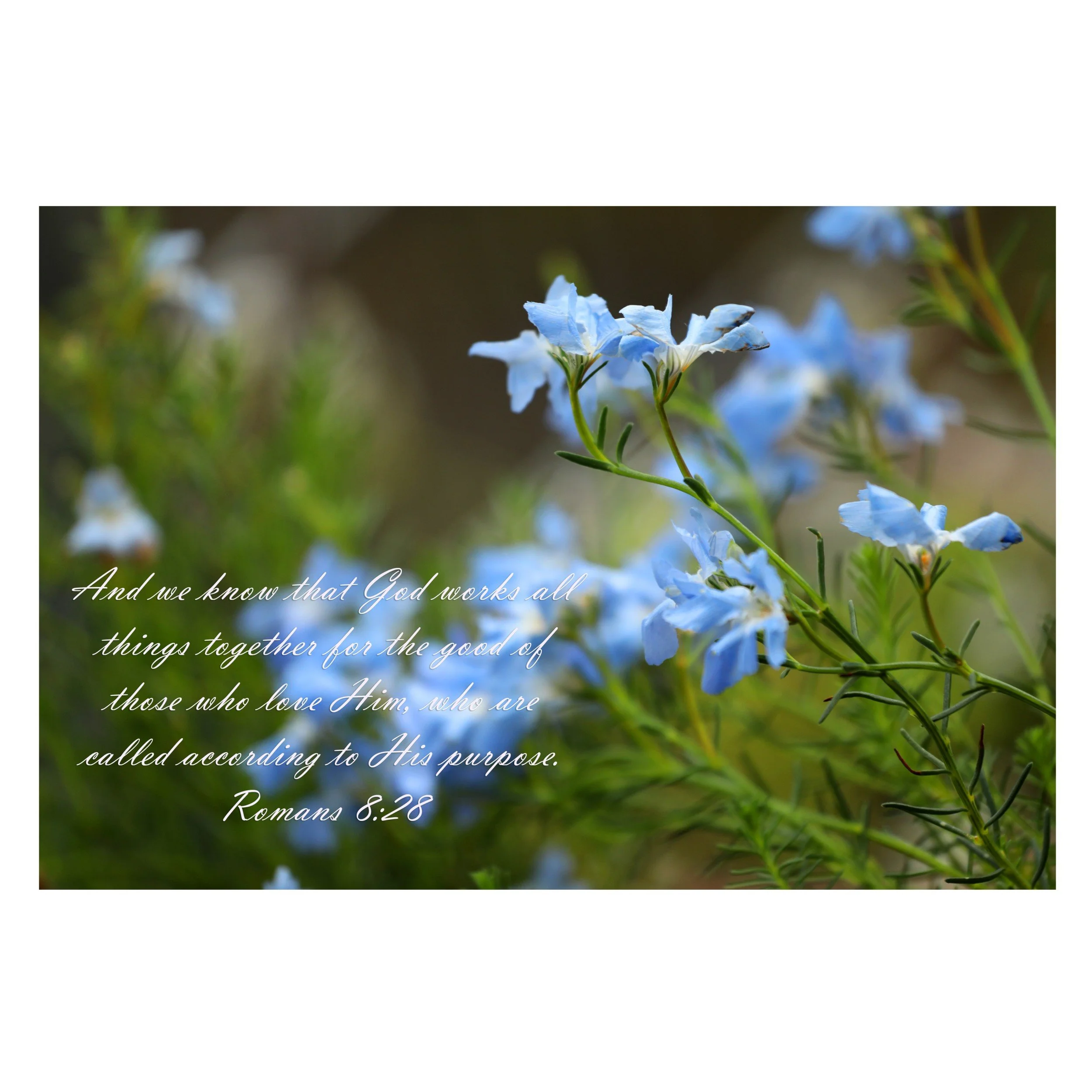 Romans 8:28 God Works All Things Matted Print